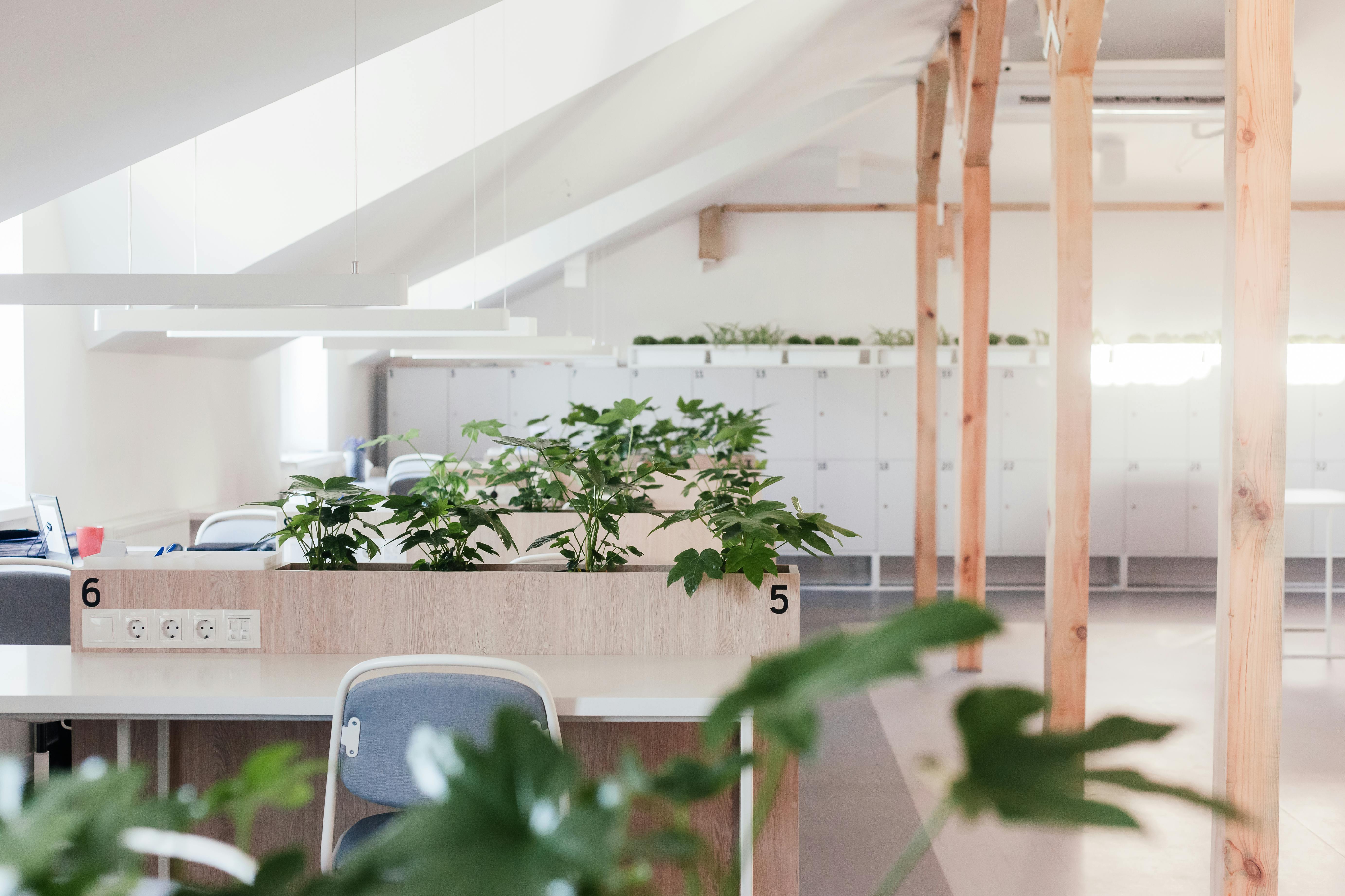 Modern Open Plan Office with plants