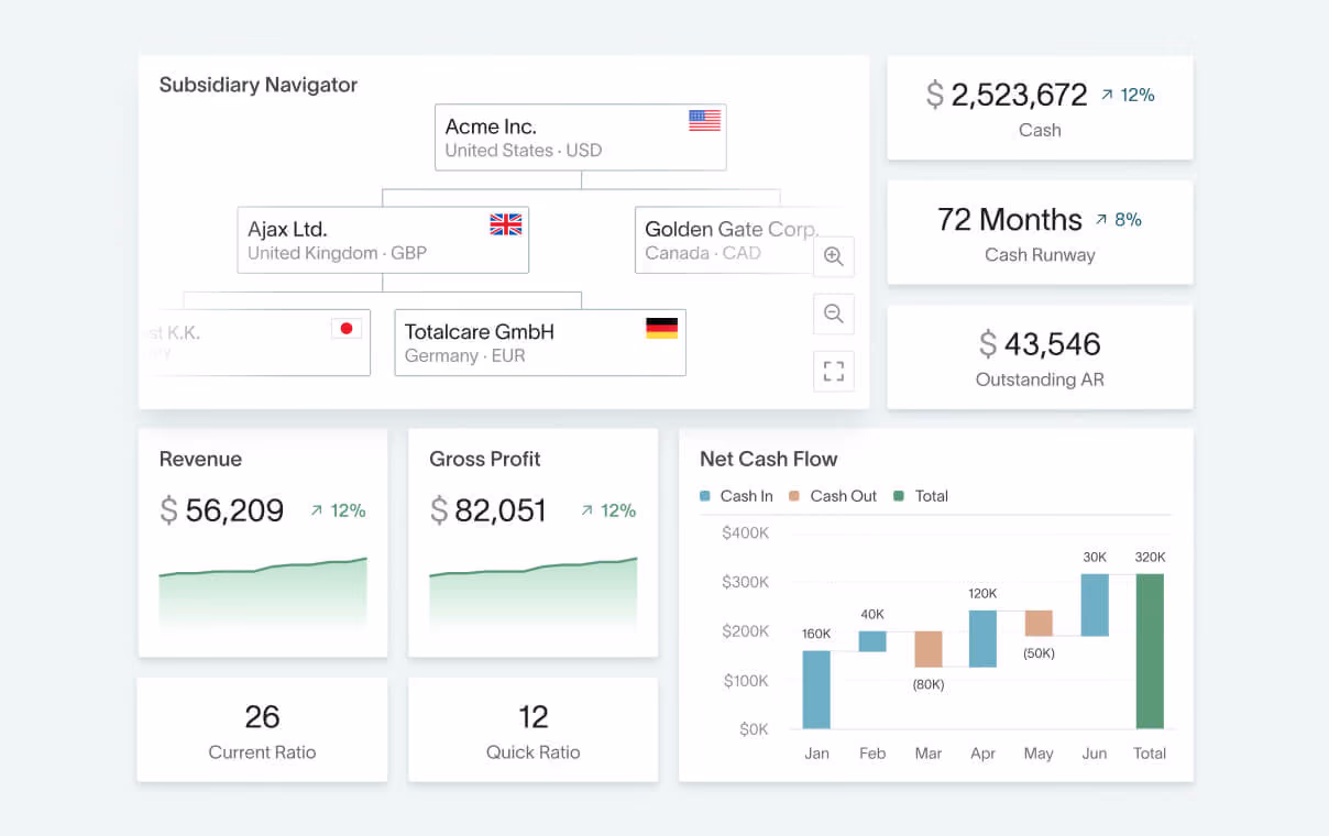 DualEntry subsidiary dashboard with cash balance, runway, revenue, and net cash flow for account reconciliation