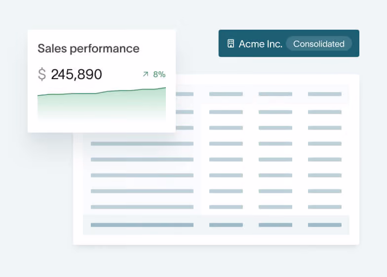 Consolidated sales performance report in DualEntry budgeting and planning showing 8 percent growth