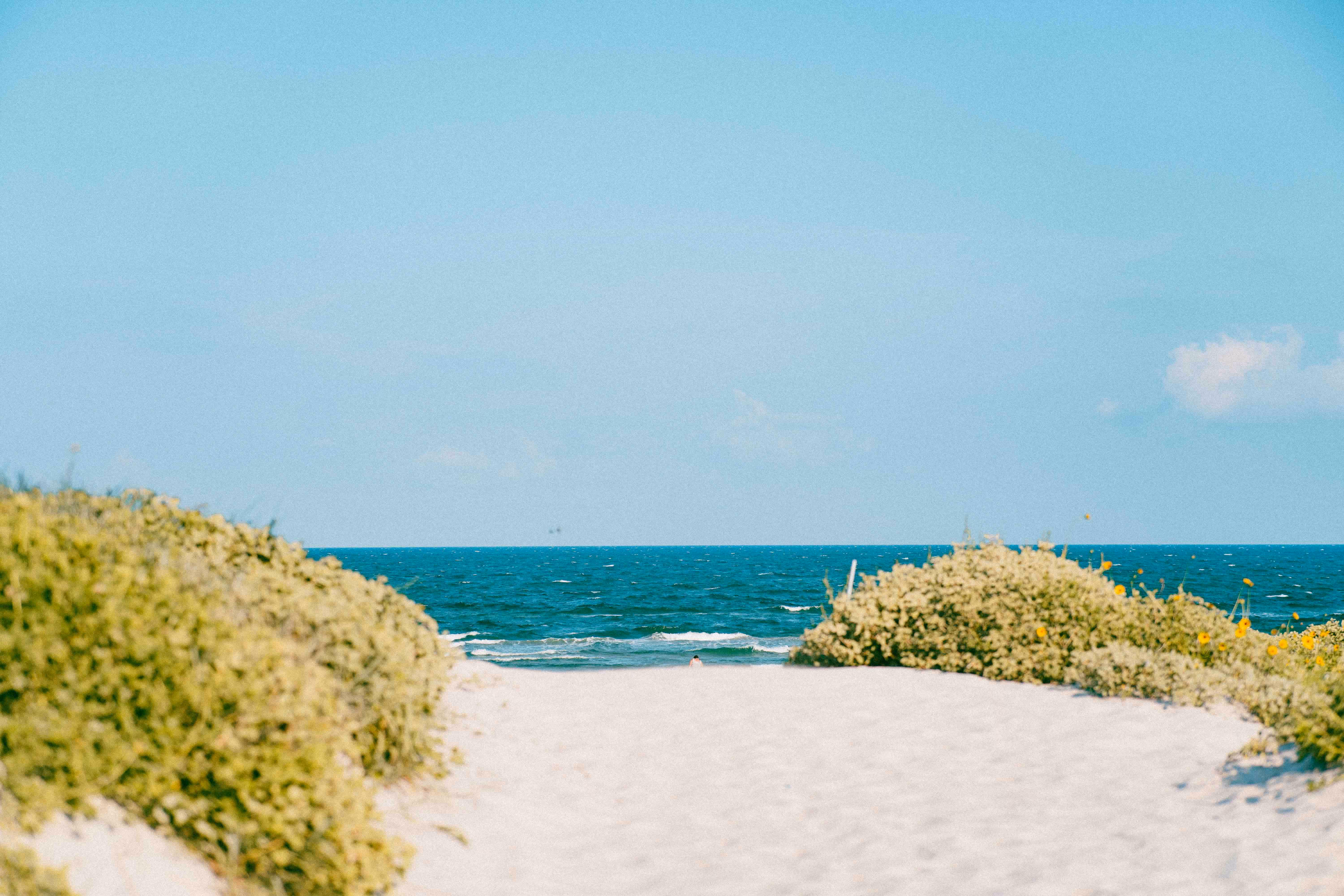 A peaceful beach path leading to the ocean, flanked by natural dune vegetation under a clear blue sky.