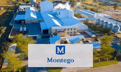 Montego Success Story Thumbnail