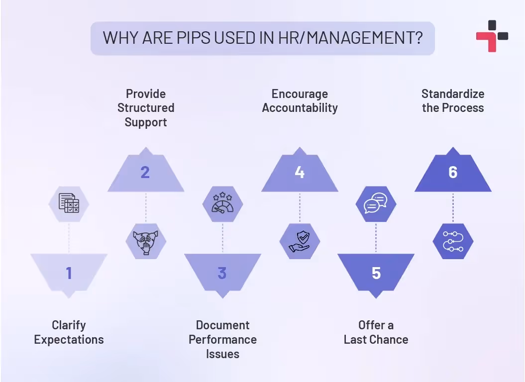 PIP Usage Areas