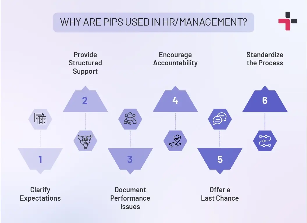 PIP Usage Areas