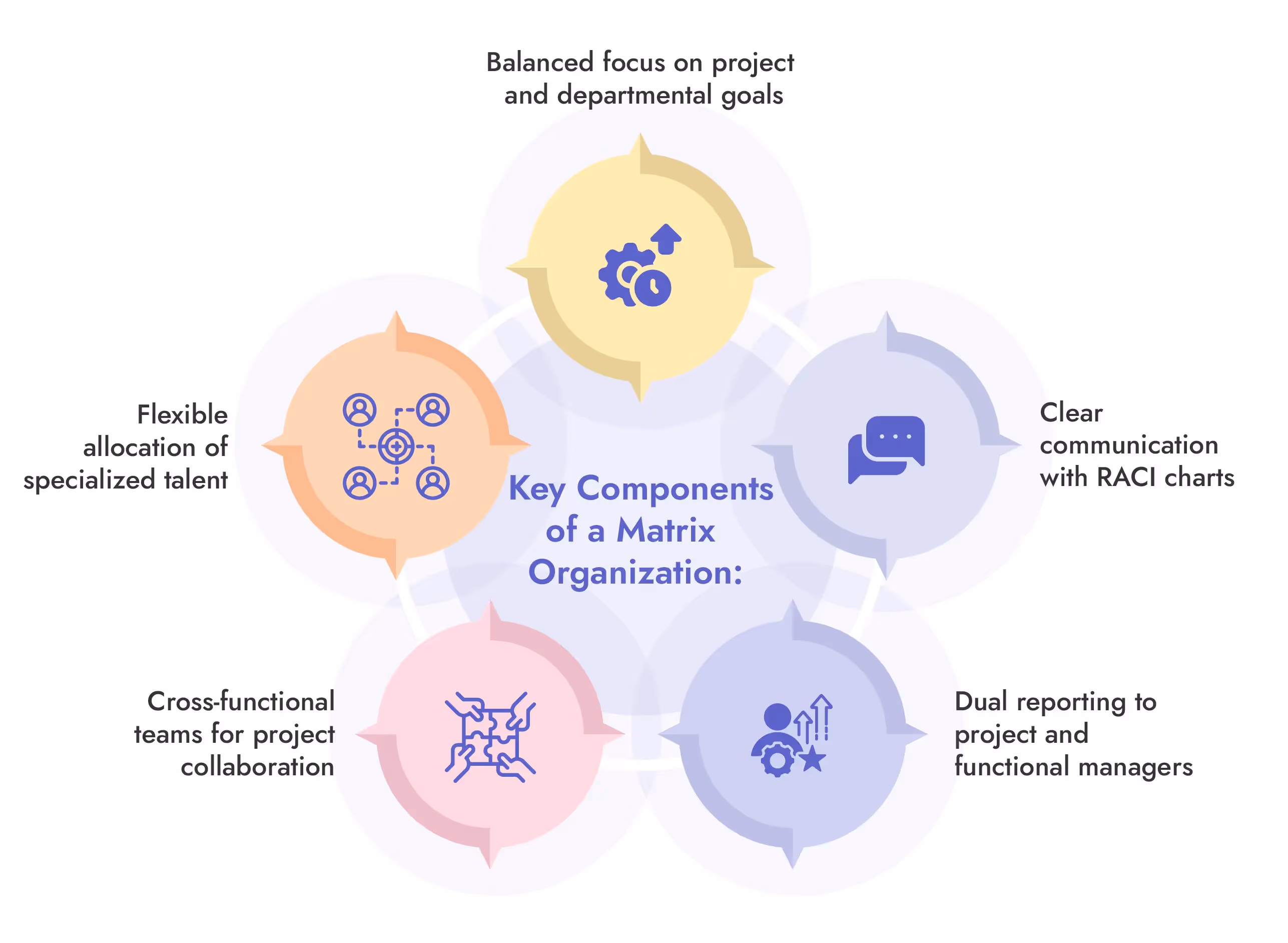 Matrix organization structure key components infographic