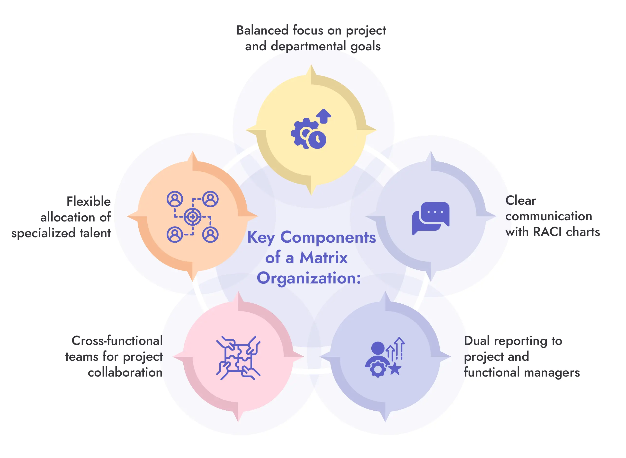 Matrix organization structure key components infographic
