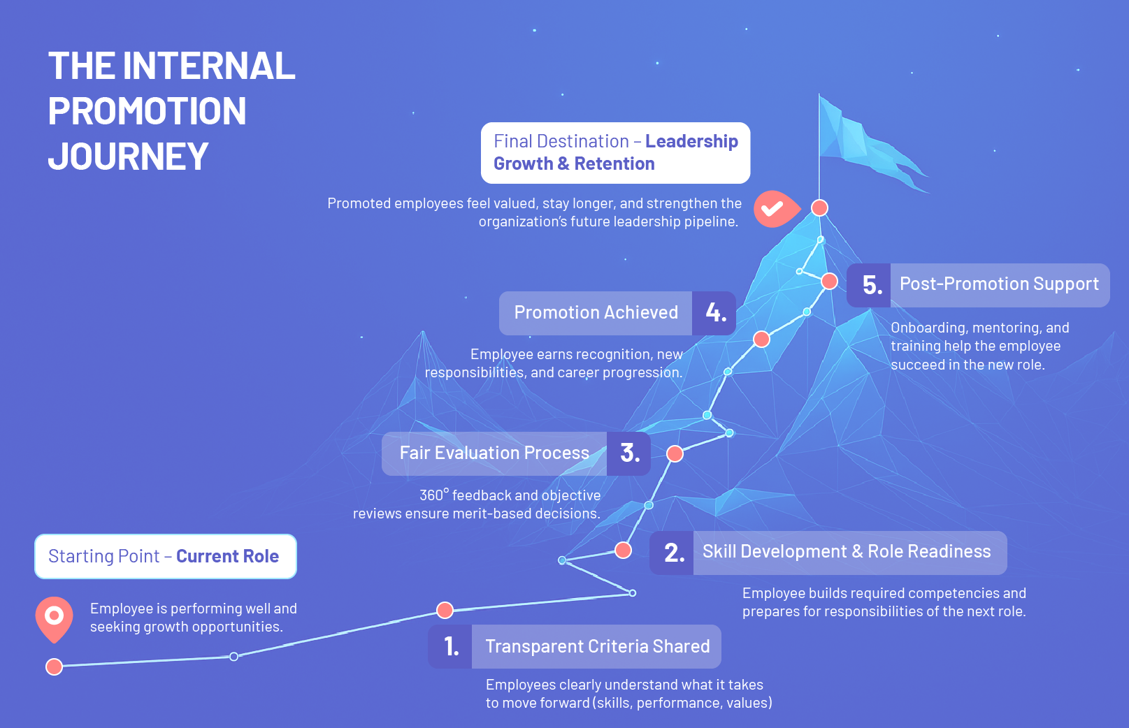 The Internal Promotion Journey infographic