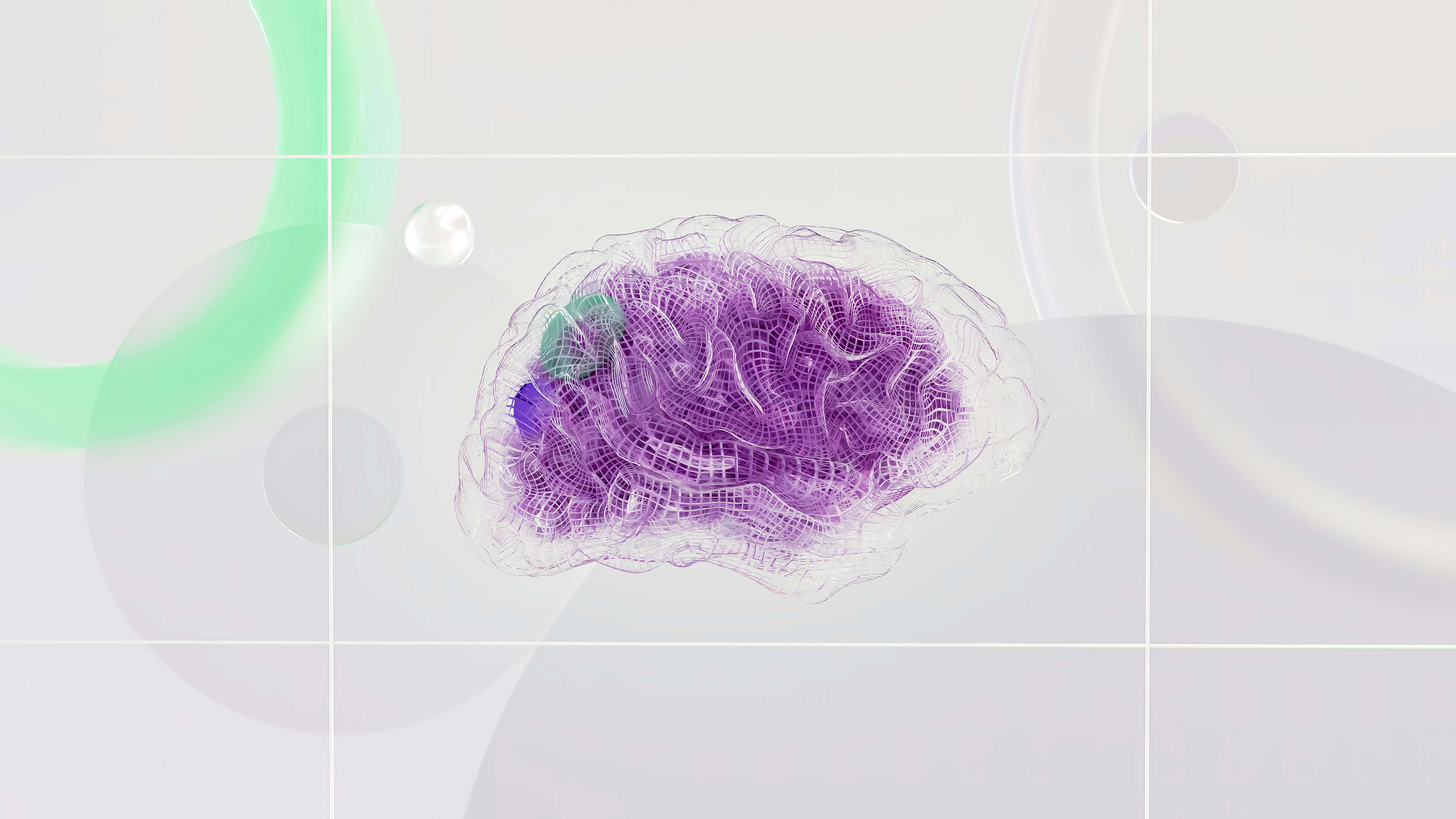 Brain AI Fit intelligence