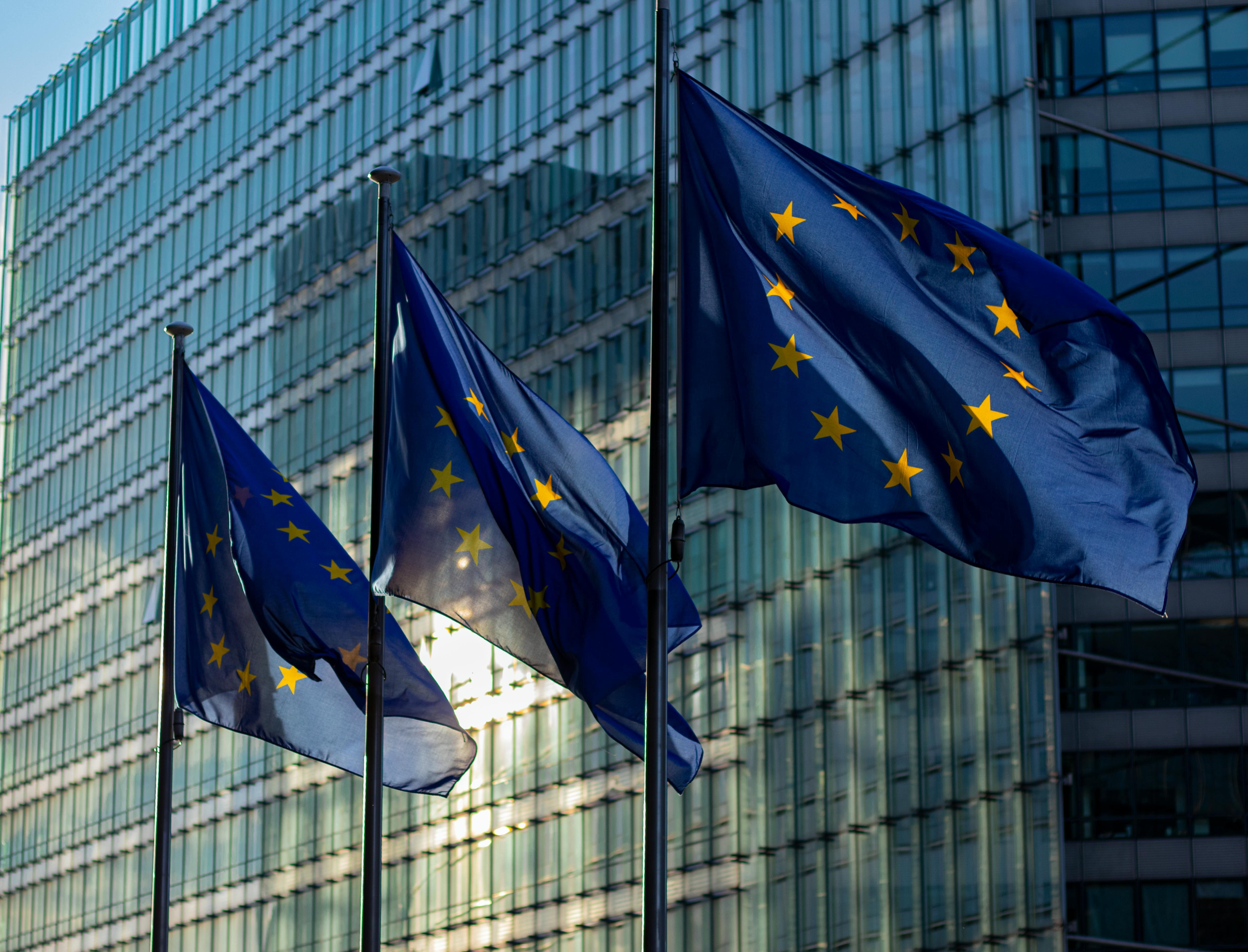 European Union Flags