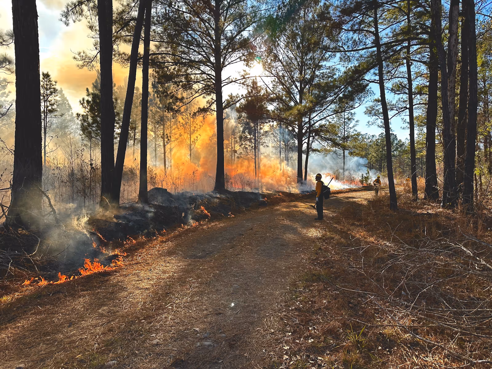 Jefferson County Greenways staff participating in a prescribed burn
