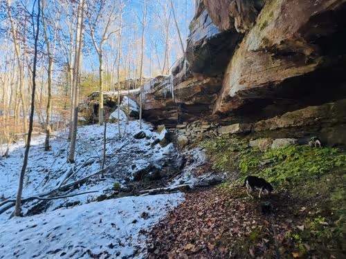 Turkey Creek Nature Preserve in snow
