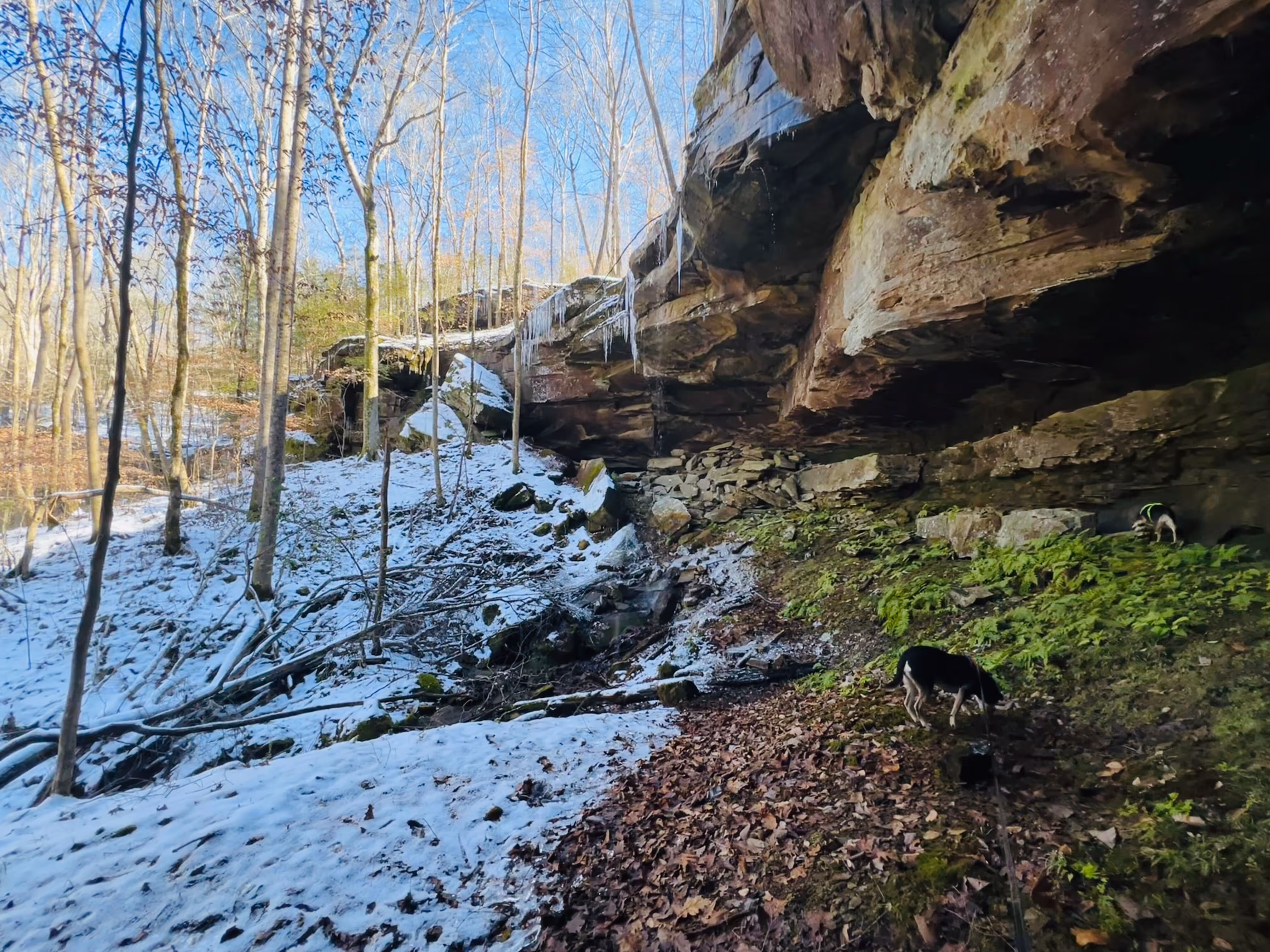 Turkey Creek Nature Preserve in snow