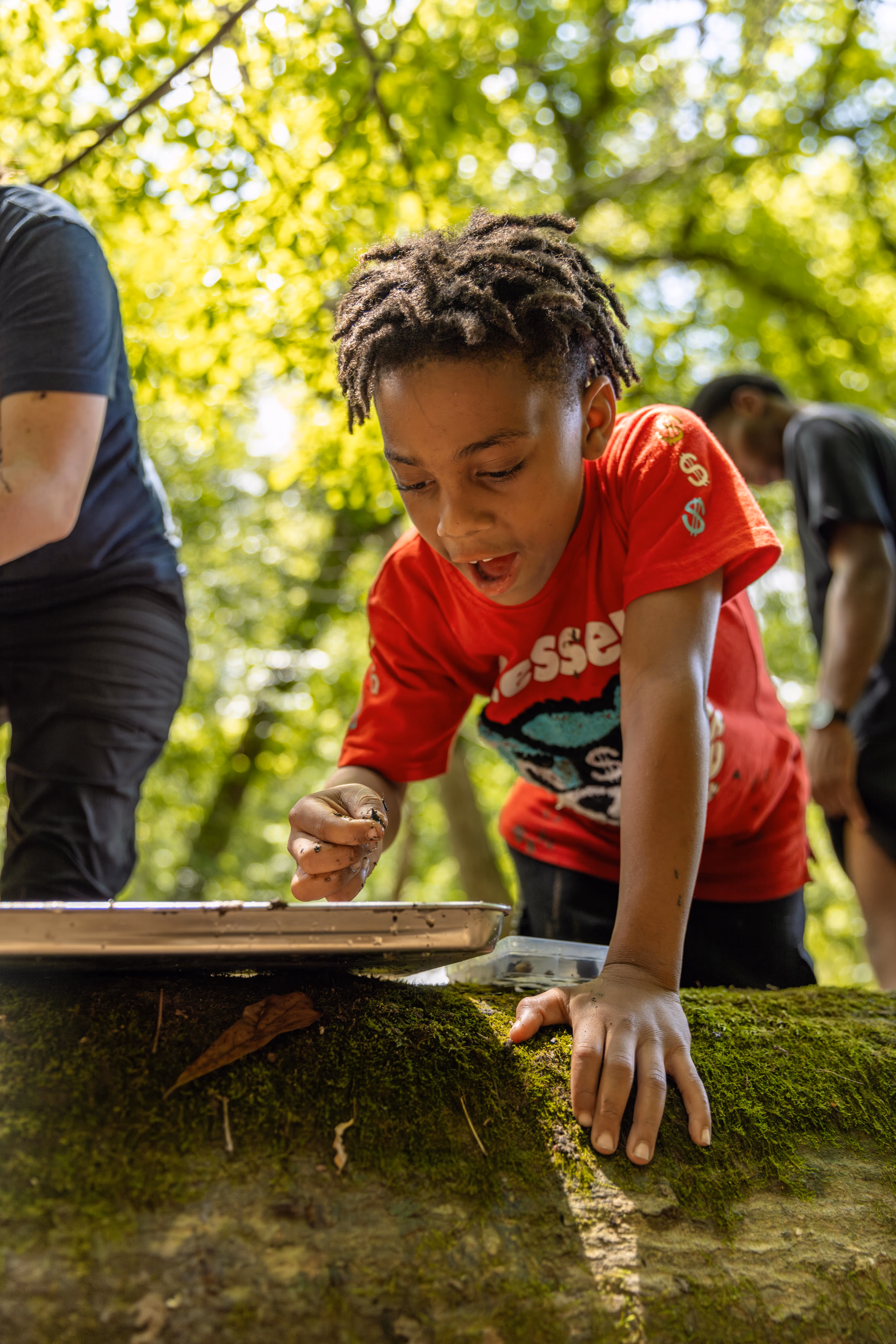 A field trip program participant exploring contents pulled from the creek bed at Turkey Creek Nature Preserve