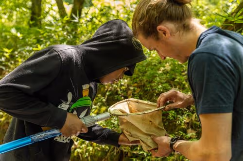 A Jefferson County Greenways staff investigating the contents of a net with a student at Turkey Creek Nature Preserve