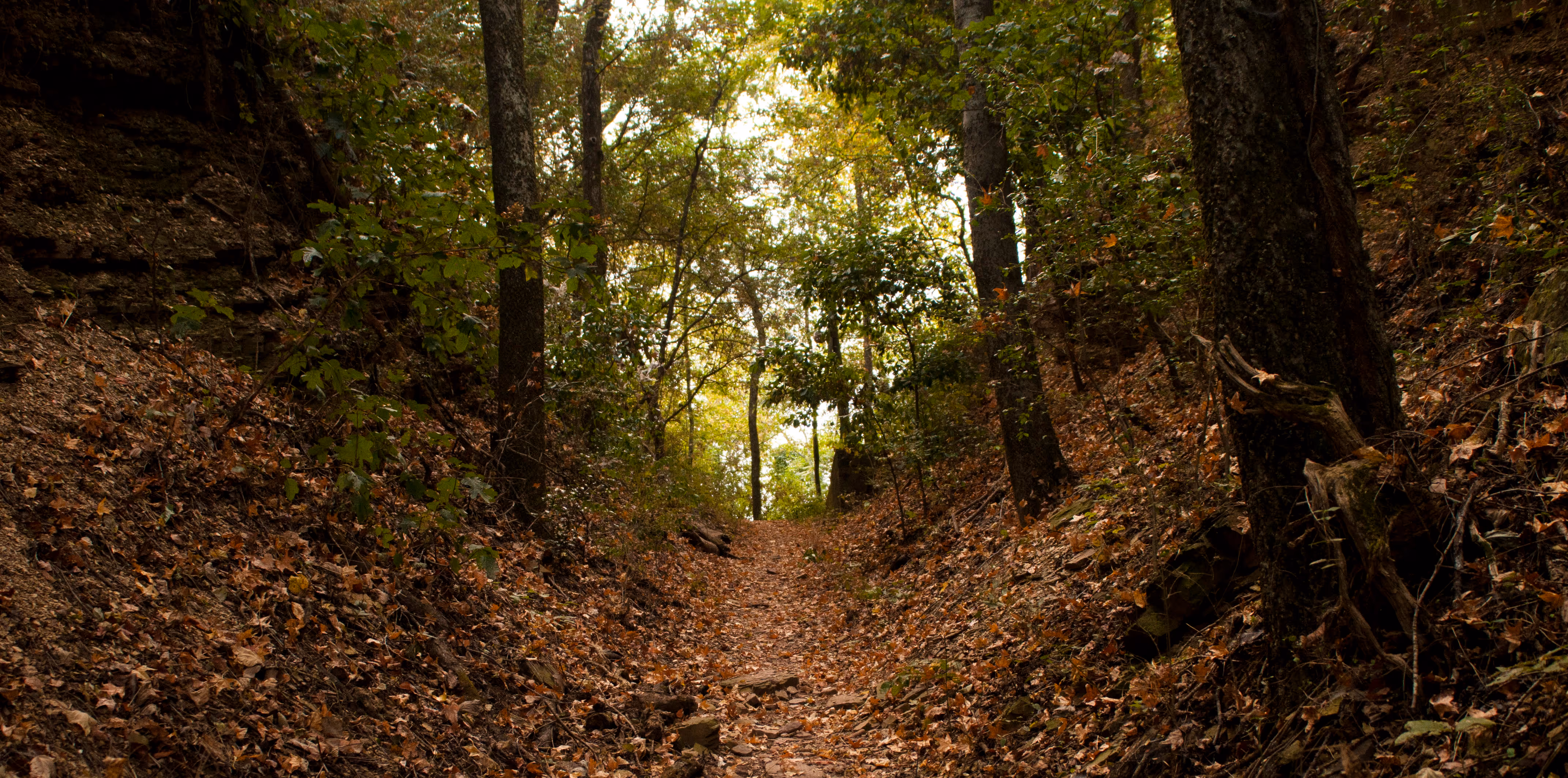 A hiking trail nestled between two forested ridges