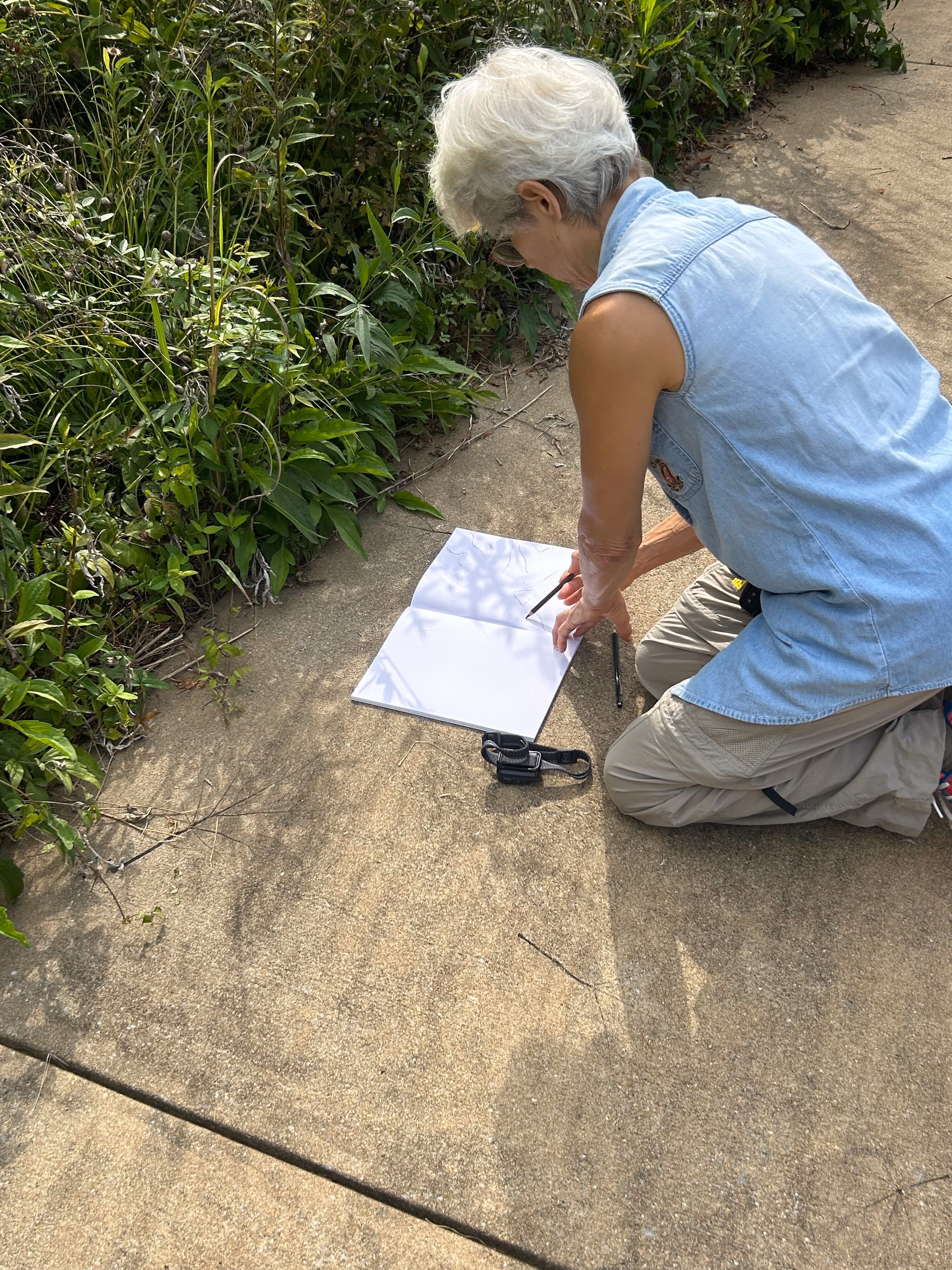 A woman sketching plants from the sidewalk at Ruffner Mountain