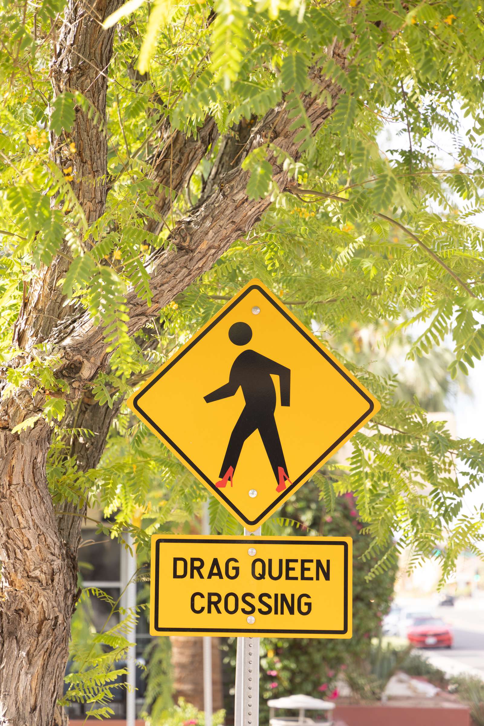 Drag Queen Crossing street sign under a tree in downtown Palm Springs