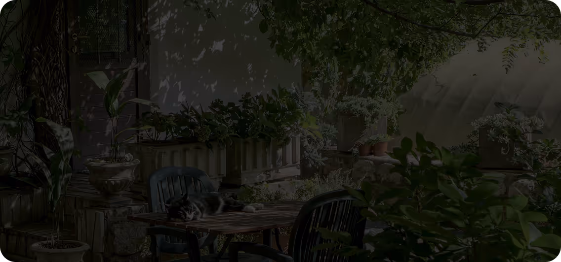 Black and white cat lying on a wooden table surrounded by green plants and outdoor chairs in a garden.