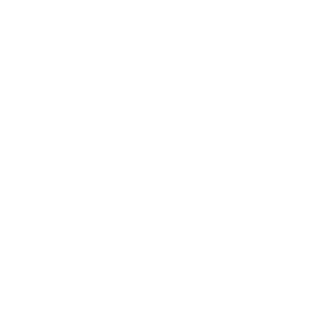 Renaissance Venture Capital