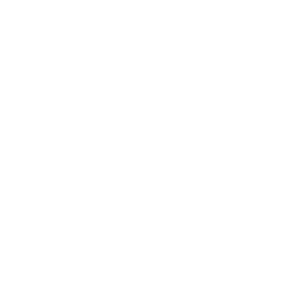 TechTown