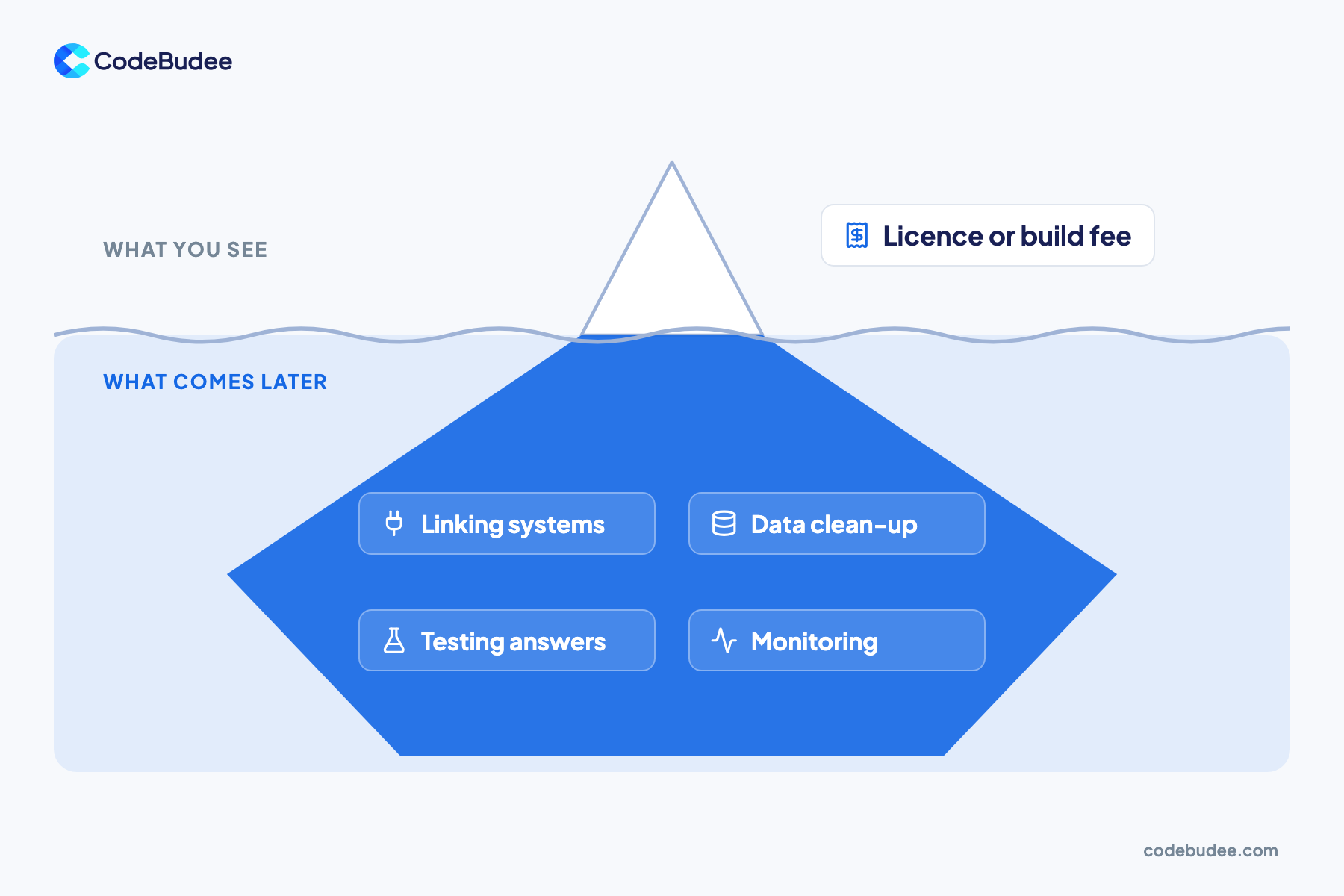 An iceberg shows the licence or build fee above water, with linking systems, data clean-up, testing and monitoring below.