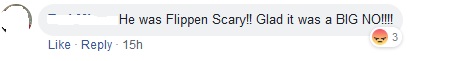 BIG NO