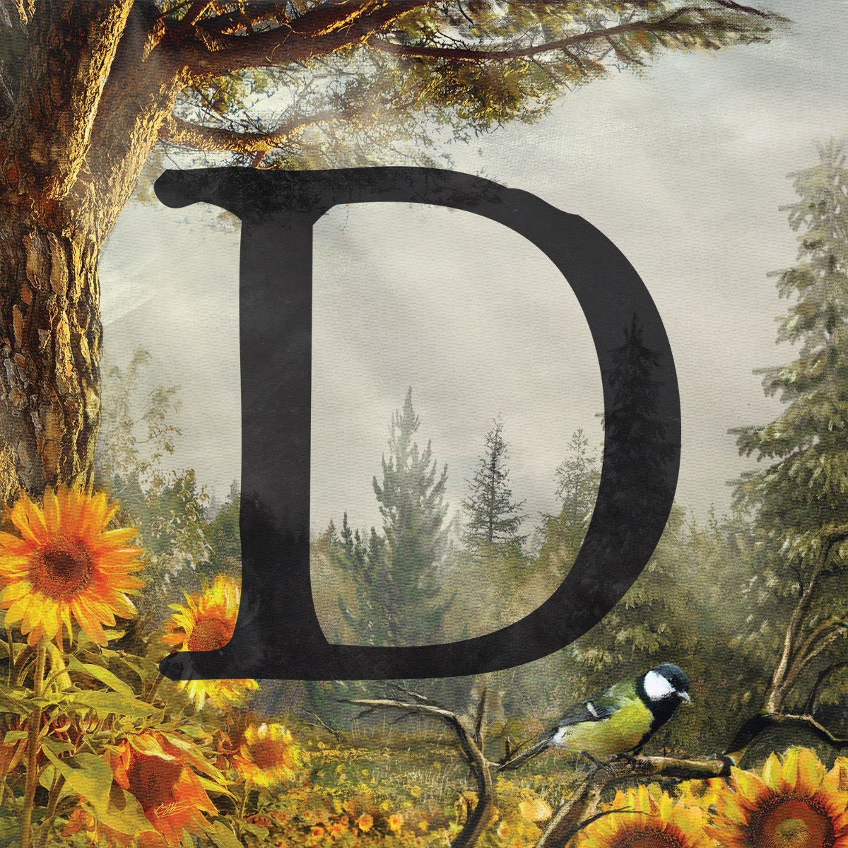 the acacia strain - D