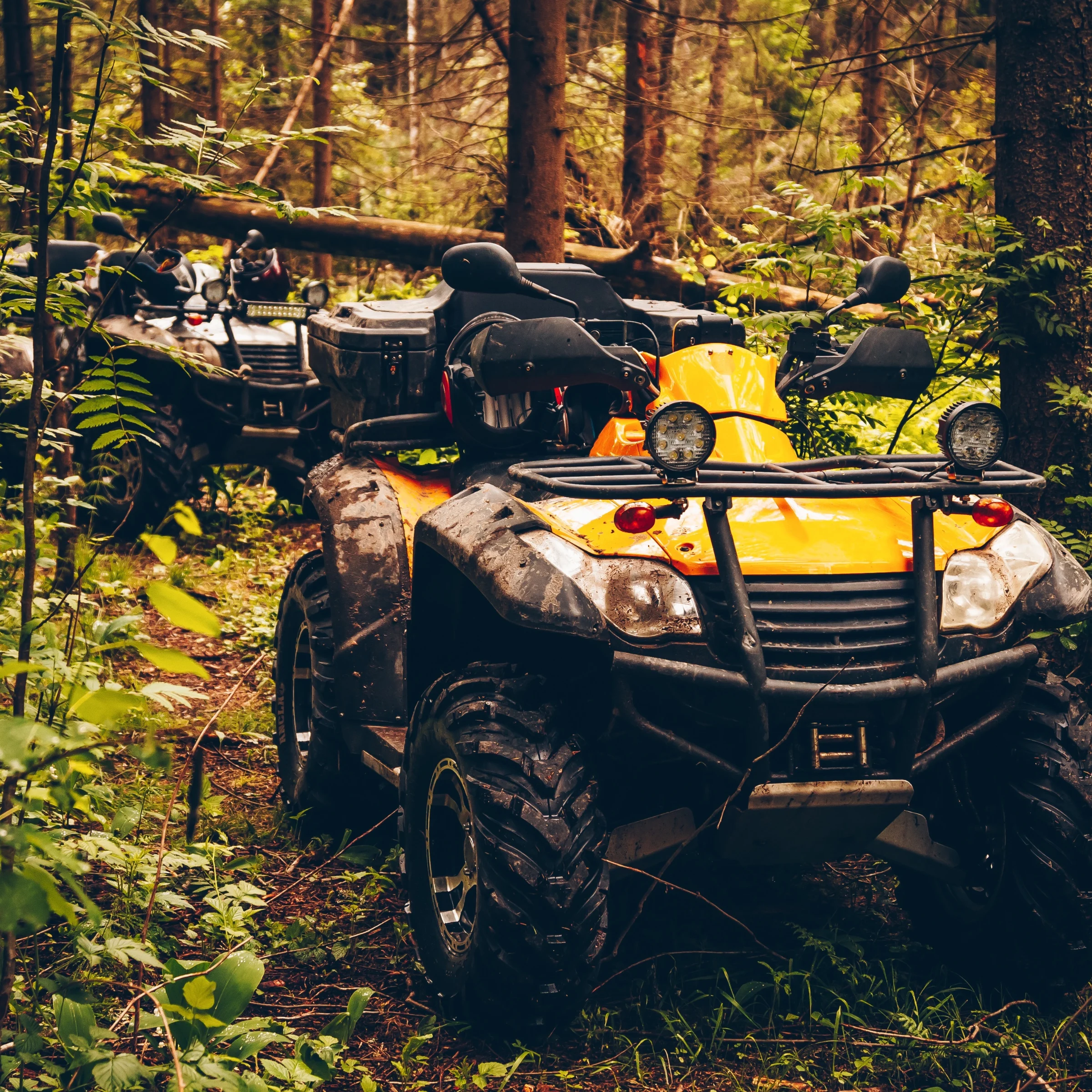 Two all-terrain vehicles parked on a forest trail surrounded by dense green foliage.