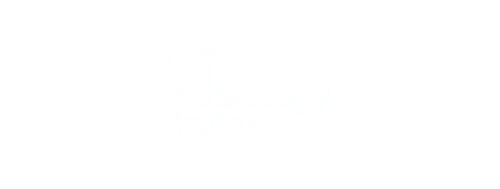 Technology review