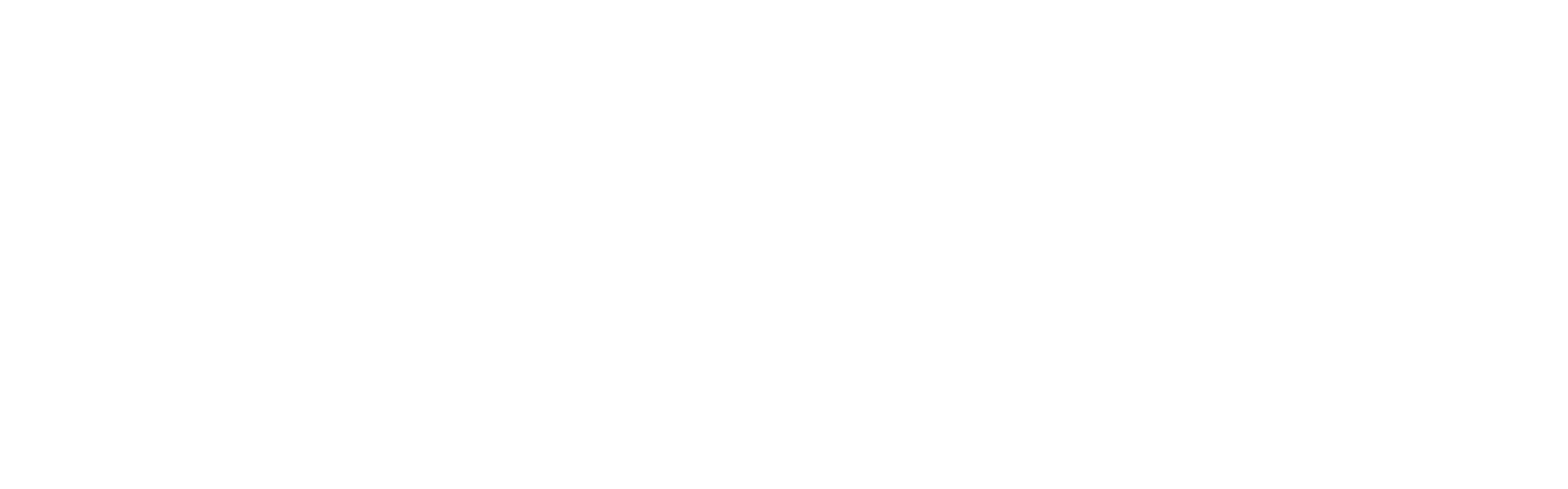 Project Logo