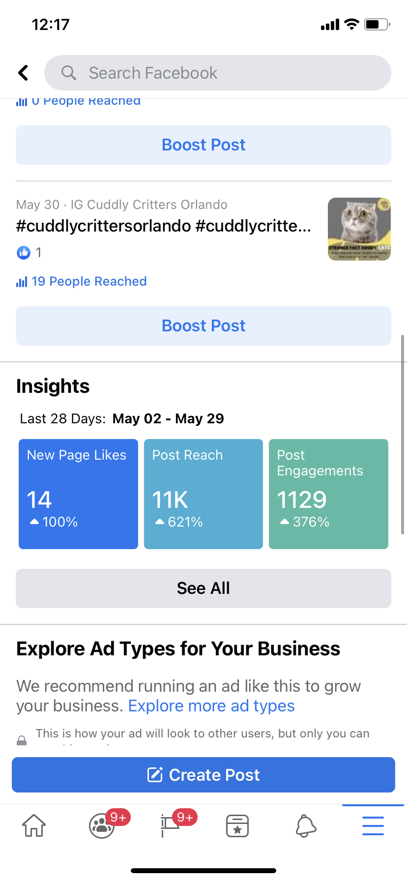 Campaign Reports