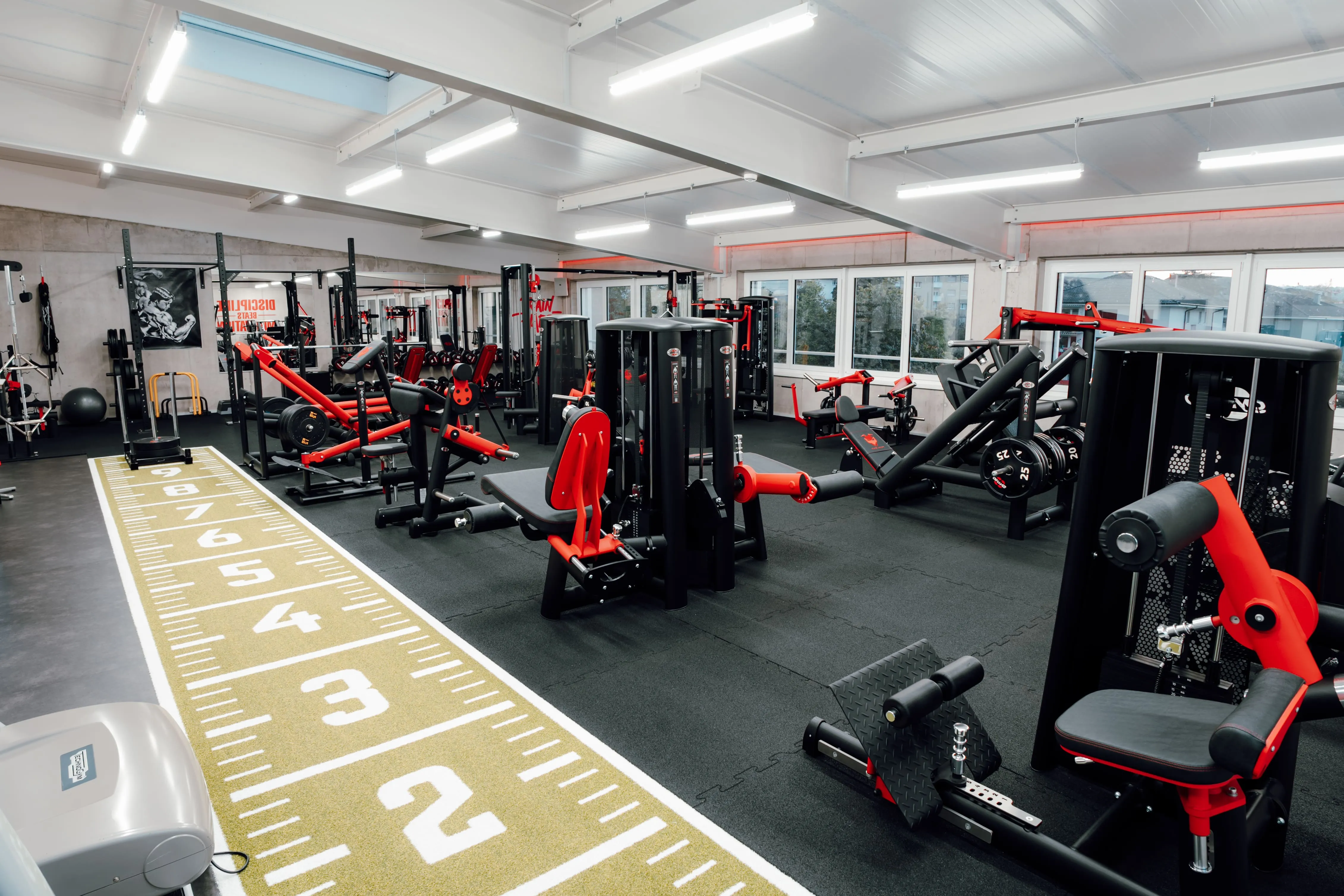 Krafttraining in Frick: Der sichere Einstieg