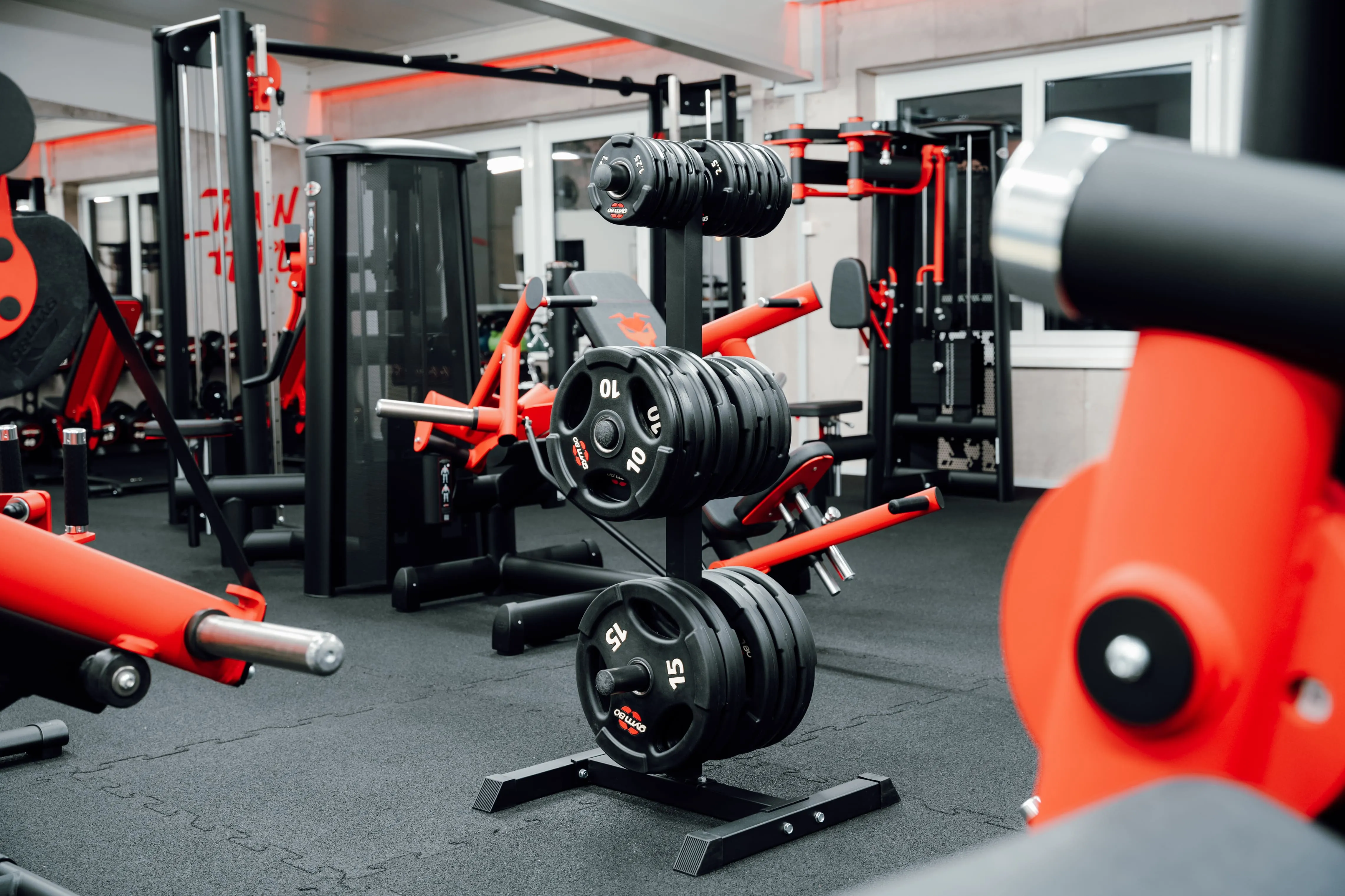 Fitness-Abo in Frick: Welches Abo passt zu dir?