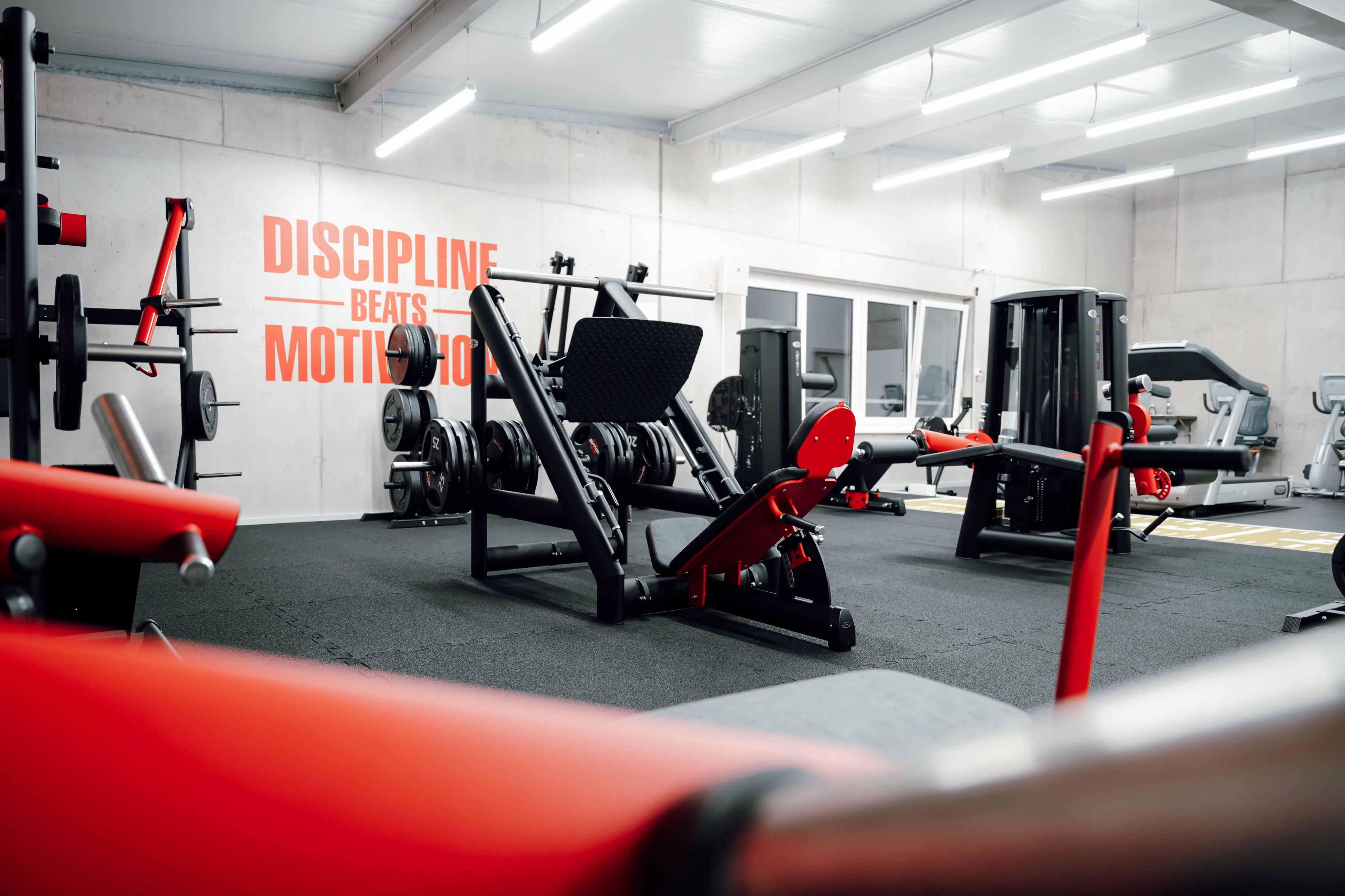 Freihanteln oder Maschinen? Training im Gym in Frick