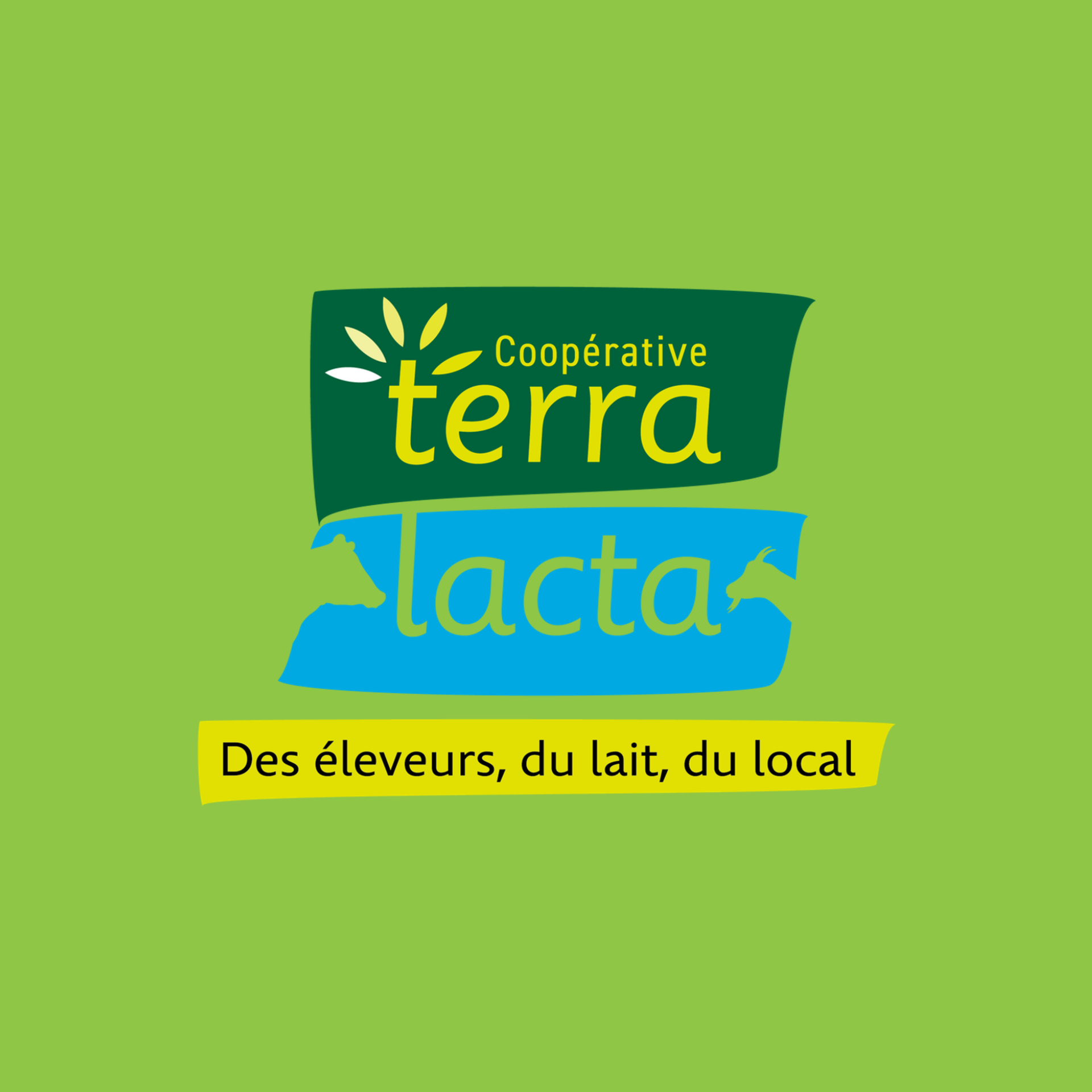 Logo Terra Lacta