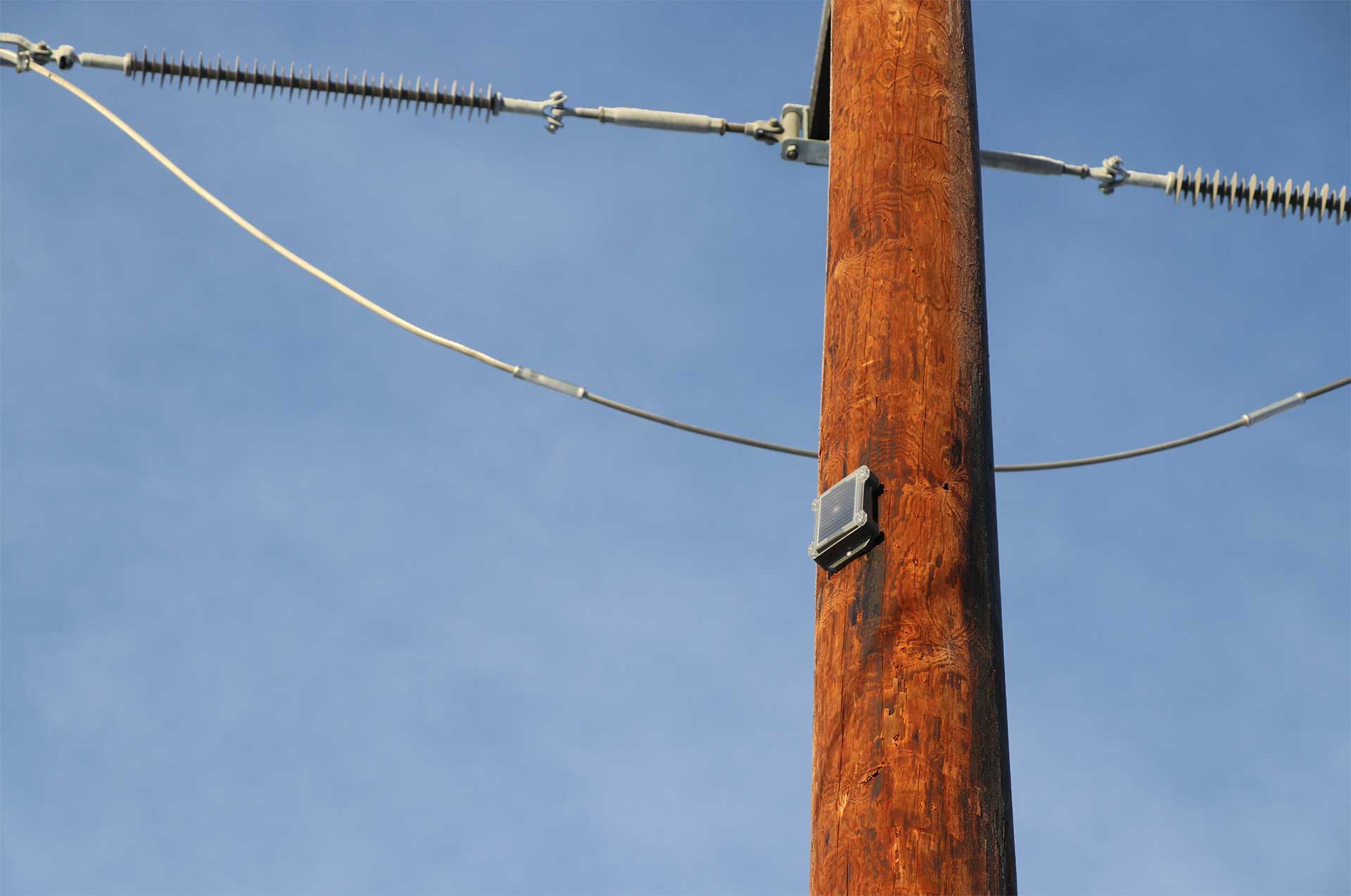 The GridScout sensor mounted on an electric pole