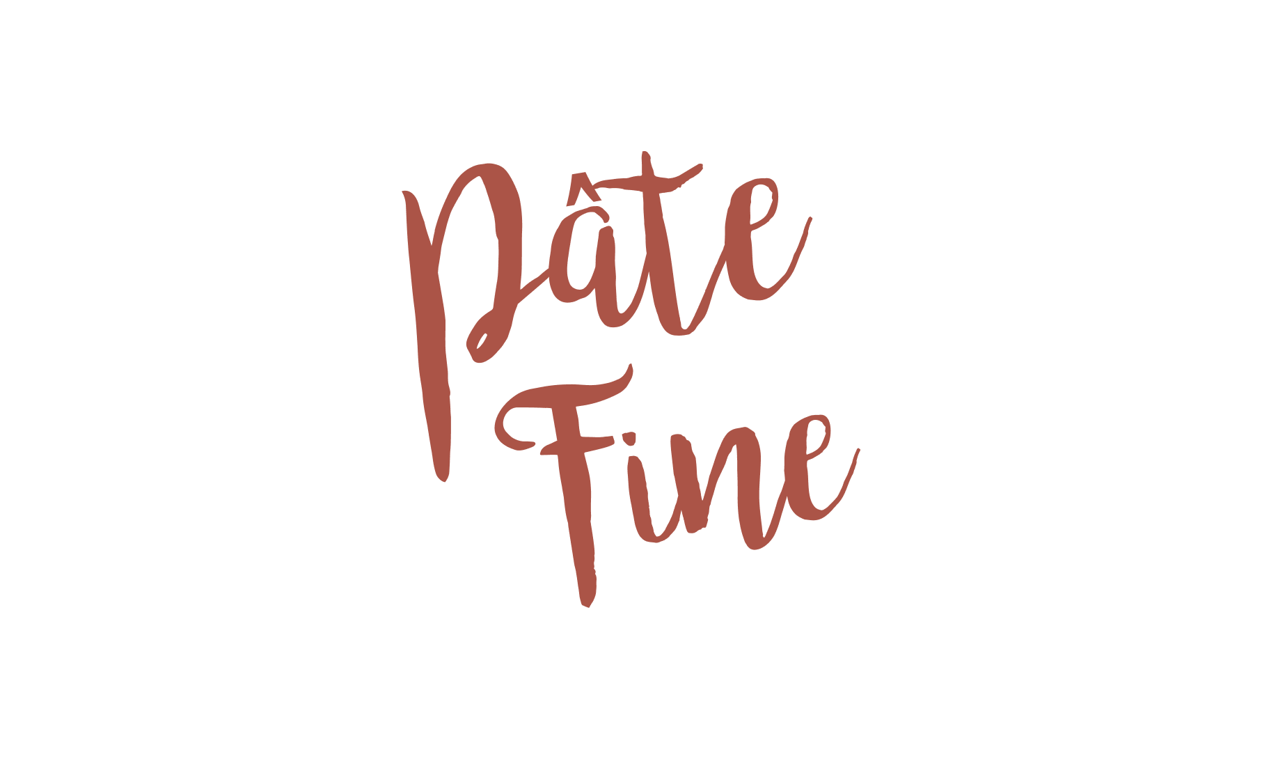 Photo du four à bois utilisée pour la création du site internet restaurant Pâte Fine.