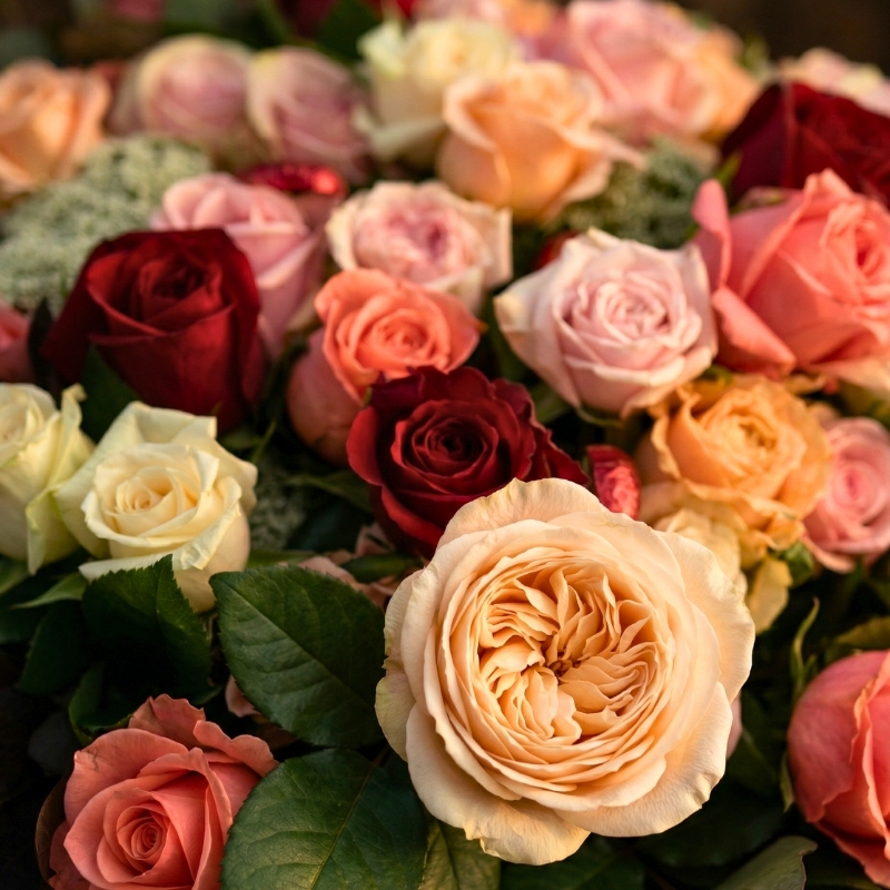 Red and pink rose funeral tribute with seasonal greenery