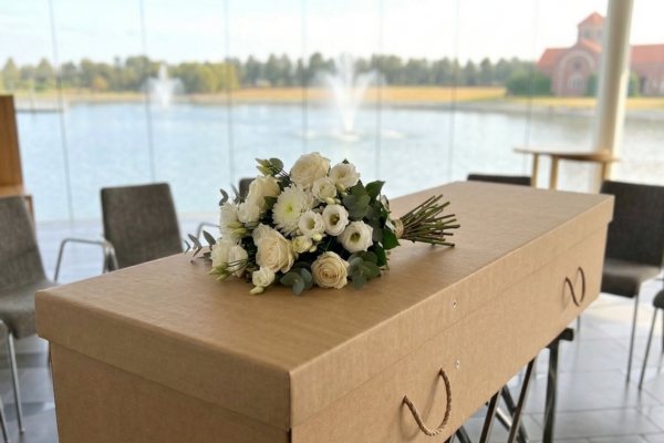 Essential White & Green on Daisybox casket