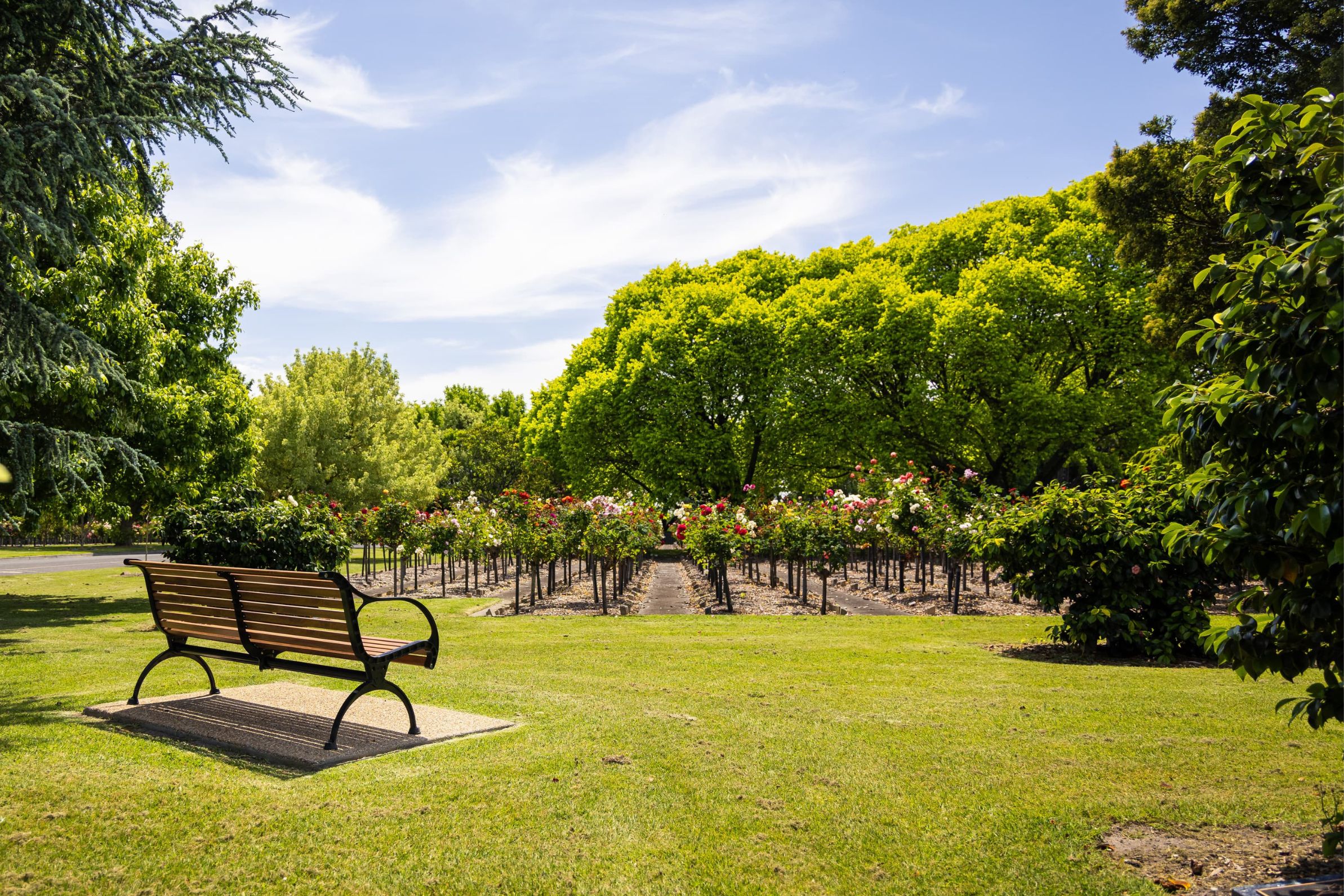 Memorial rose gardens and mature trees in the grounds at Springvale Botanical Cemetery