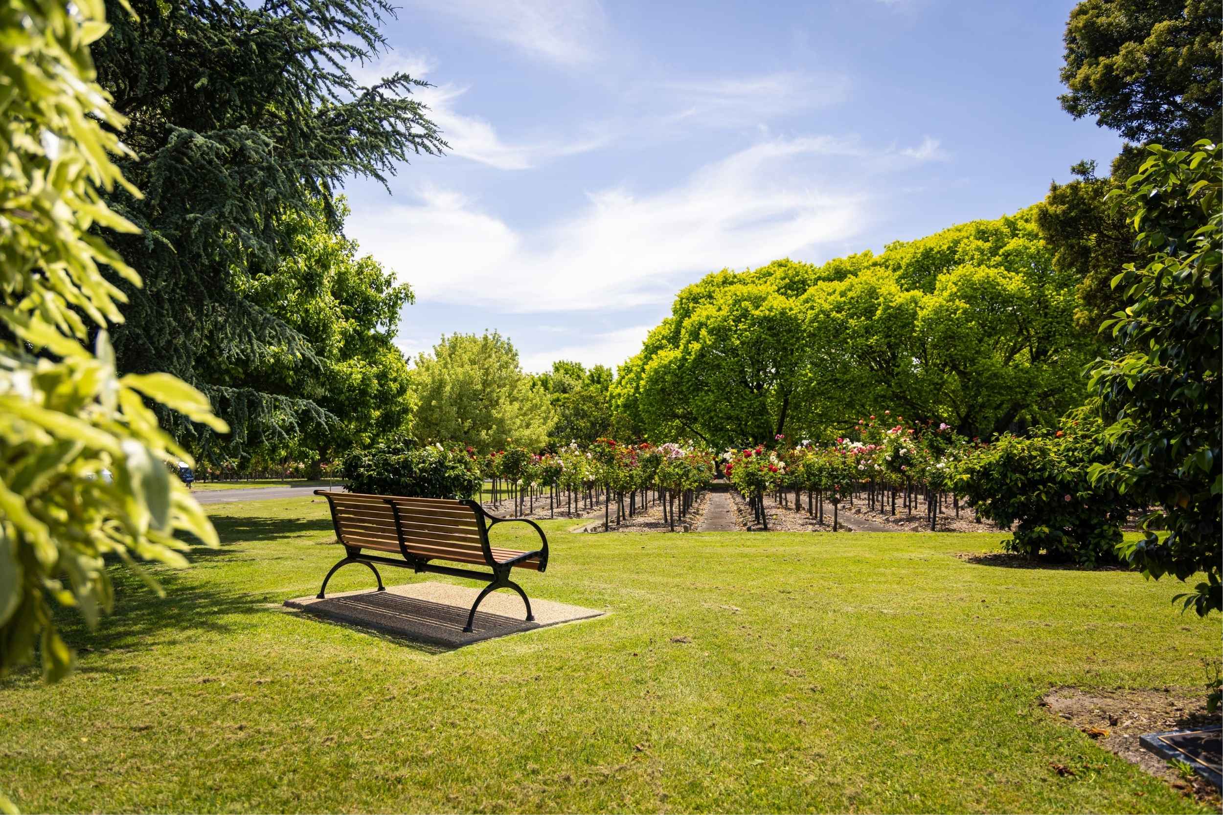 A quiet bench among the roses in the memorial garden at Springvale
