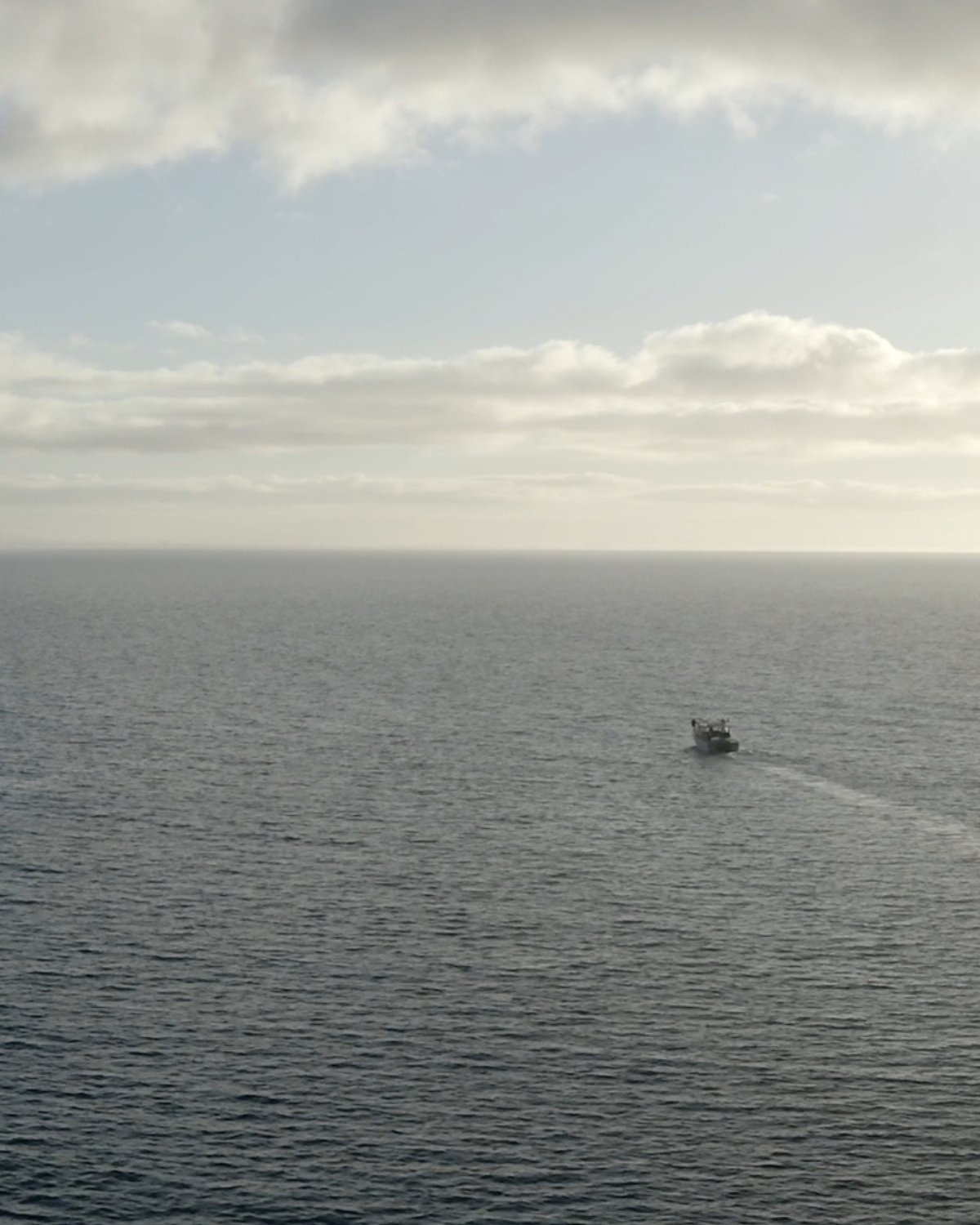 Open ocean seen from the deck of a vessel, hours off the Victorian coast