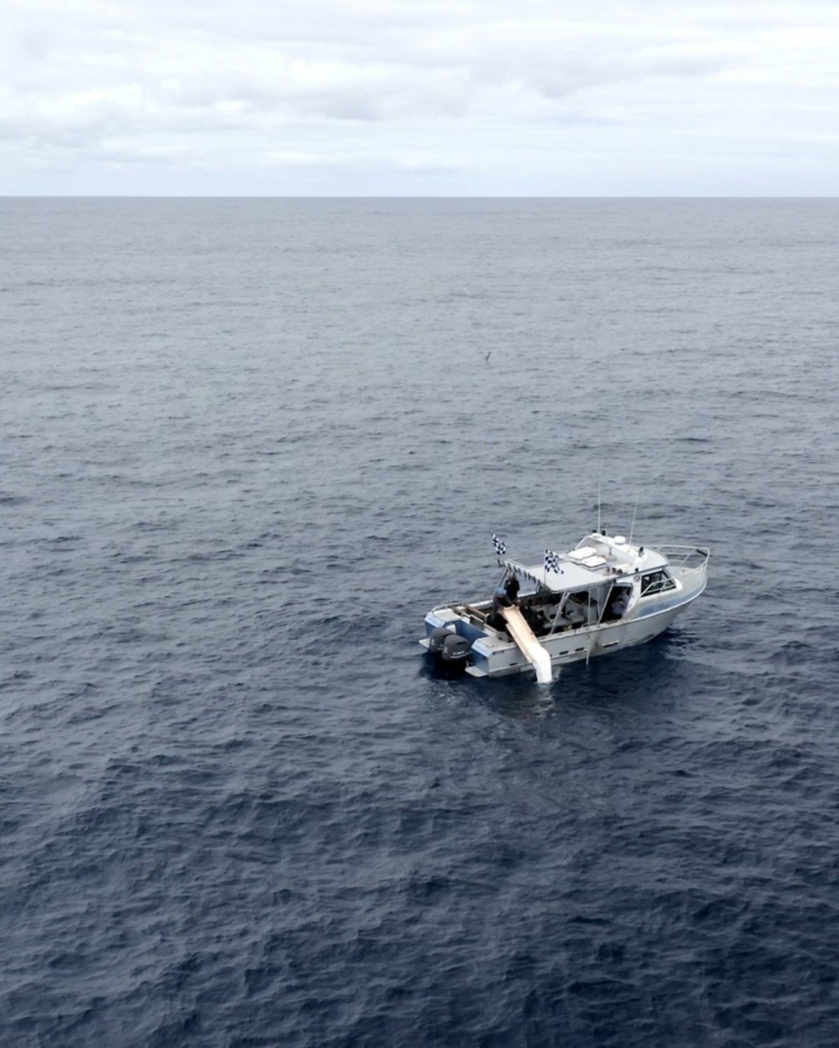 A single vessel stopped on open ocean, seen from above