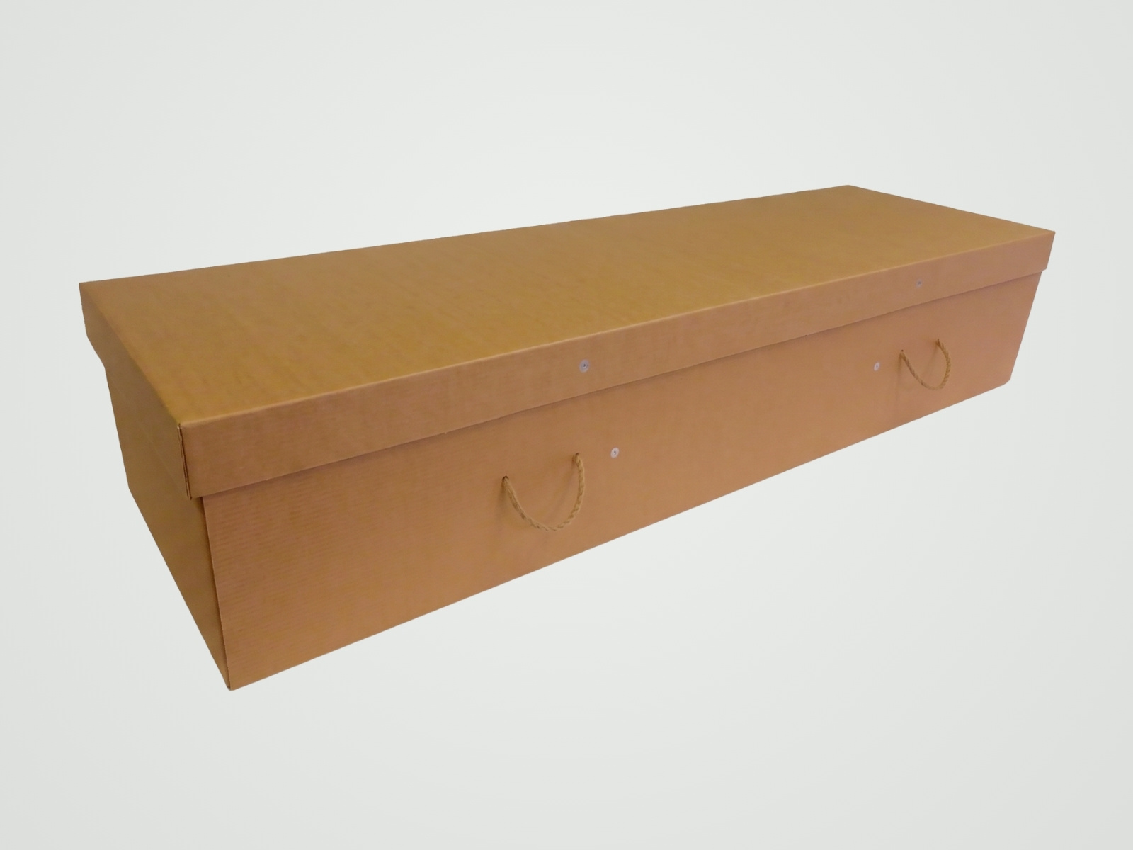 A plain cardboard casket with rope handles and a fitted lid