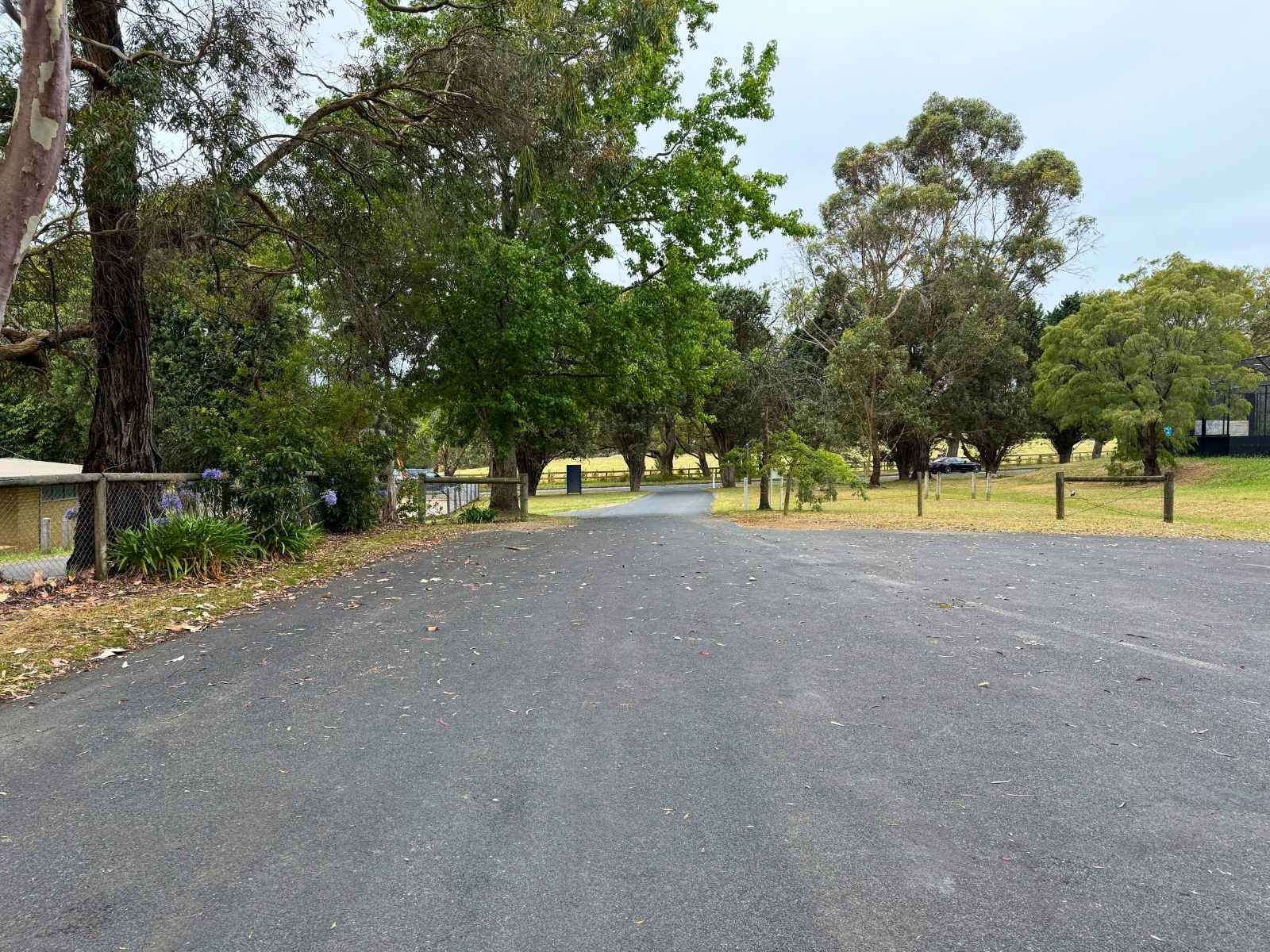 Driveway and parking area leading into Main Ridge Community Hall, surrounded by mature trees and open grassy spaces.
