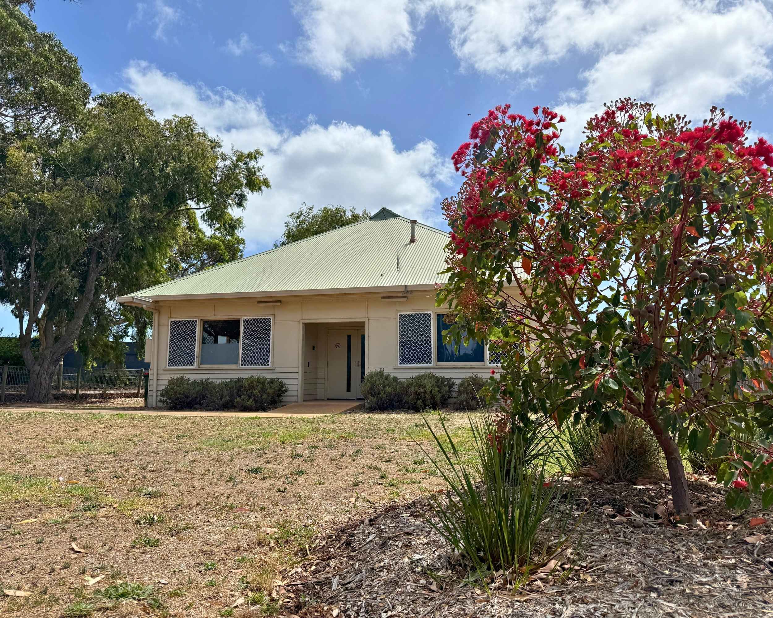 Red flowering gum frames the entrance to Tootgarook Community Hall on a bright, partly cloudy day.