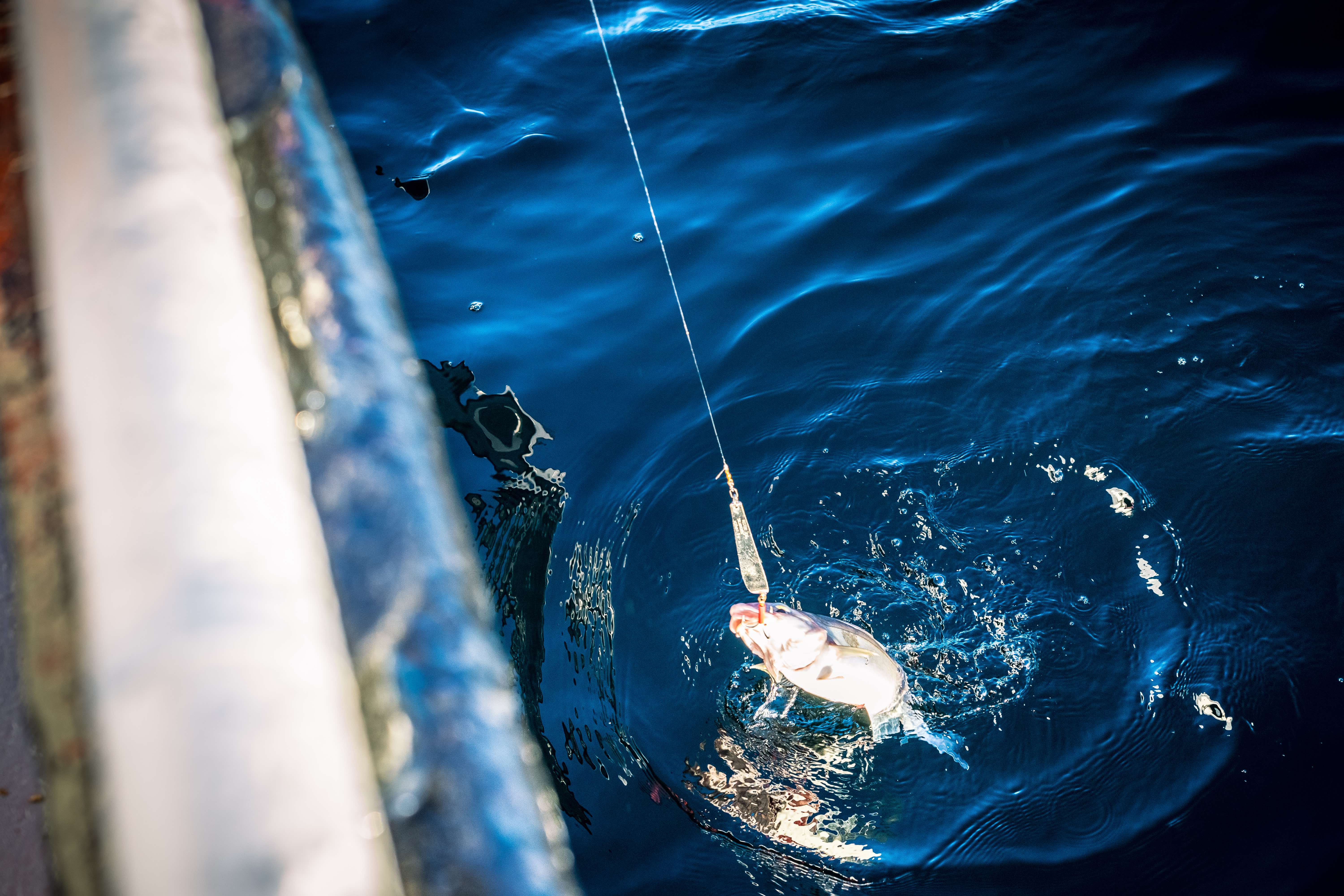 Fishingtrip_ålesund