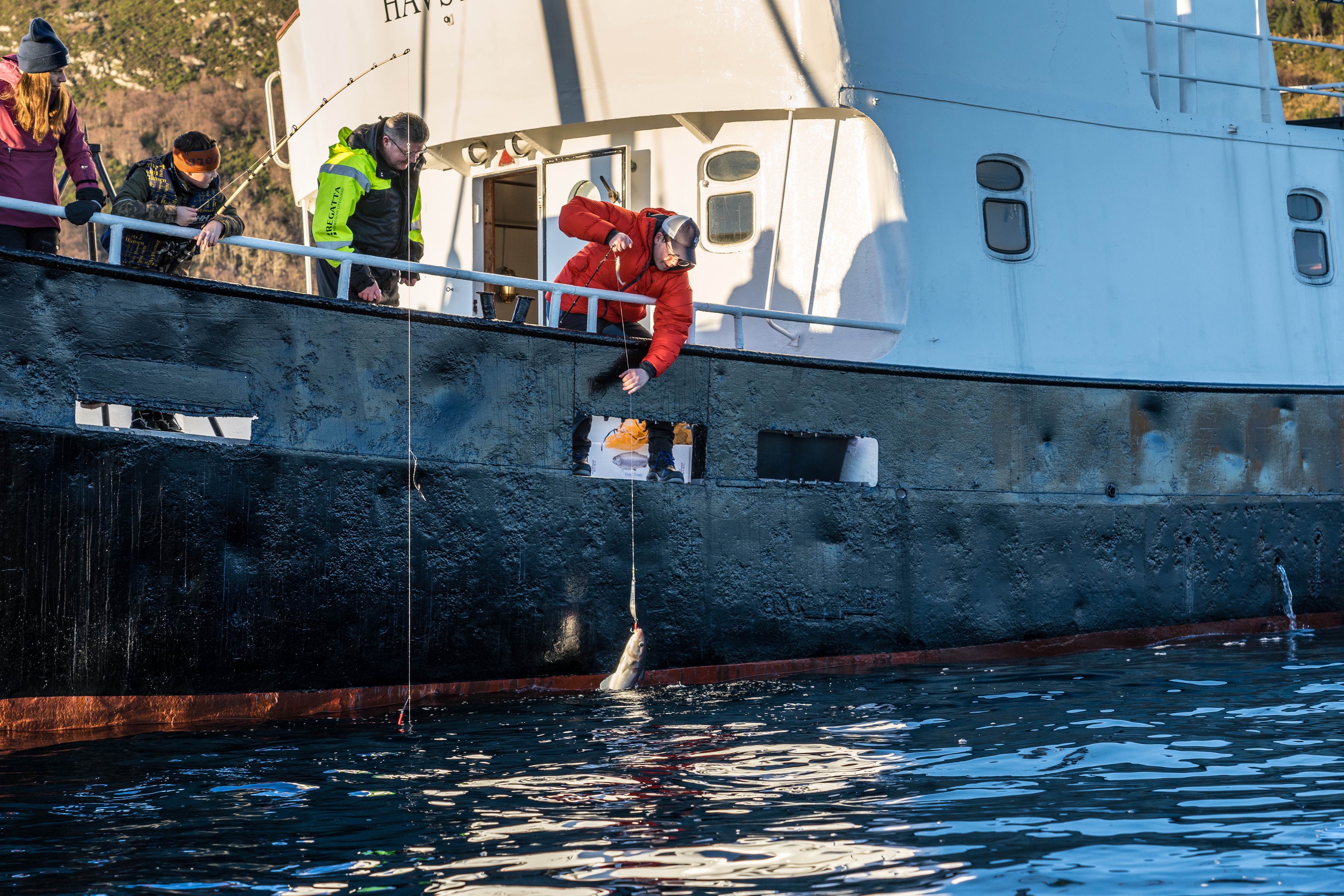 Guided_fishing_outside_alesund