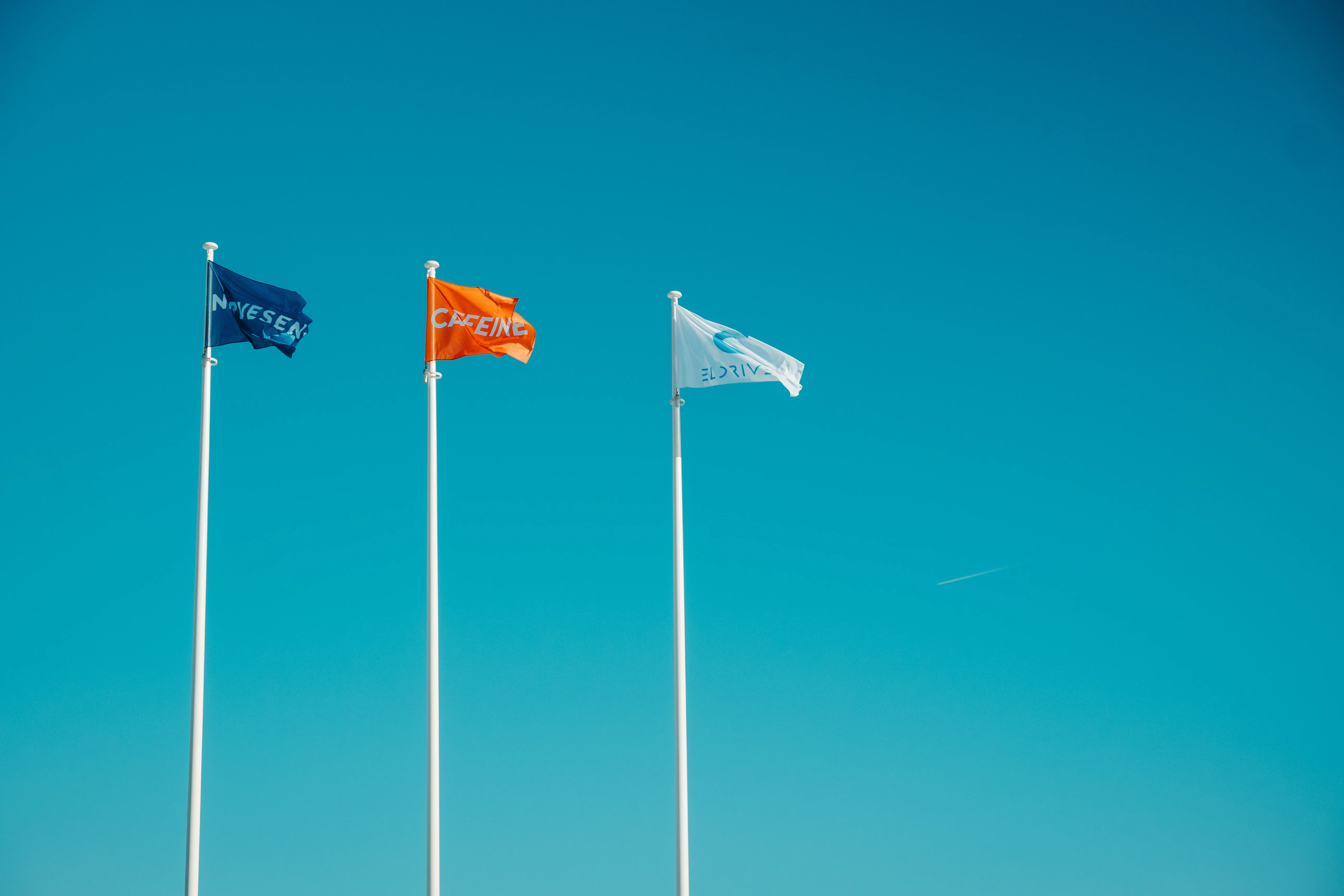 Flags at the Raseiniai charging hub