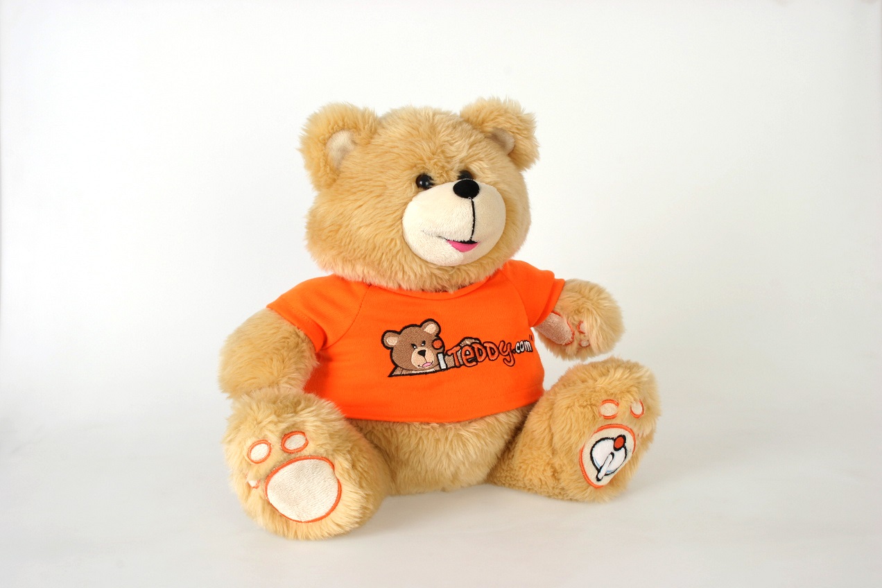 Branded teddy bear wearing an iTeddy.com T-shirt on a white background.