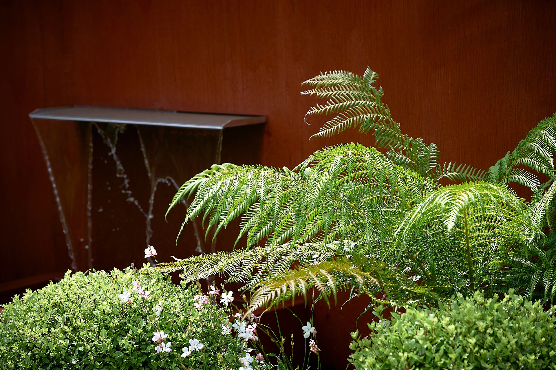 Détail de la fontaine en acier corten dans le jardin à Guidel-Plage, entourée d’érables pourpres et de heuchères